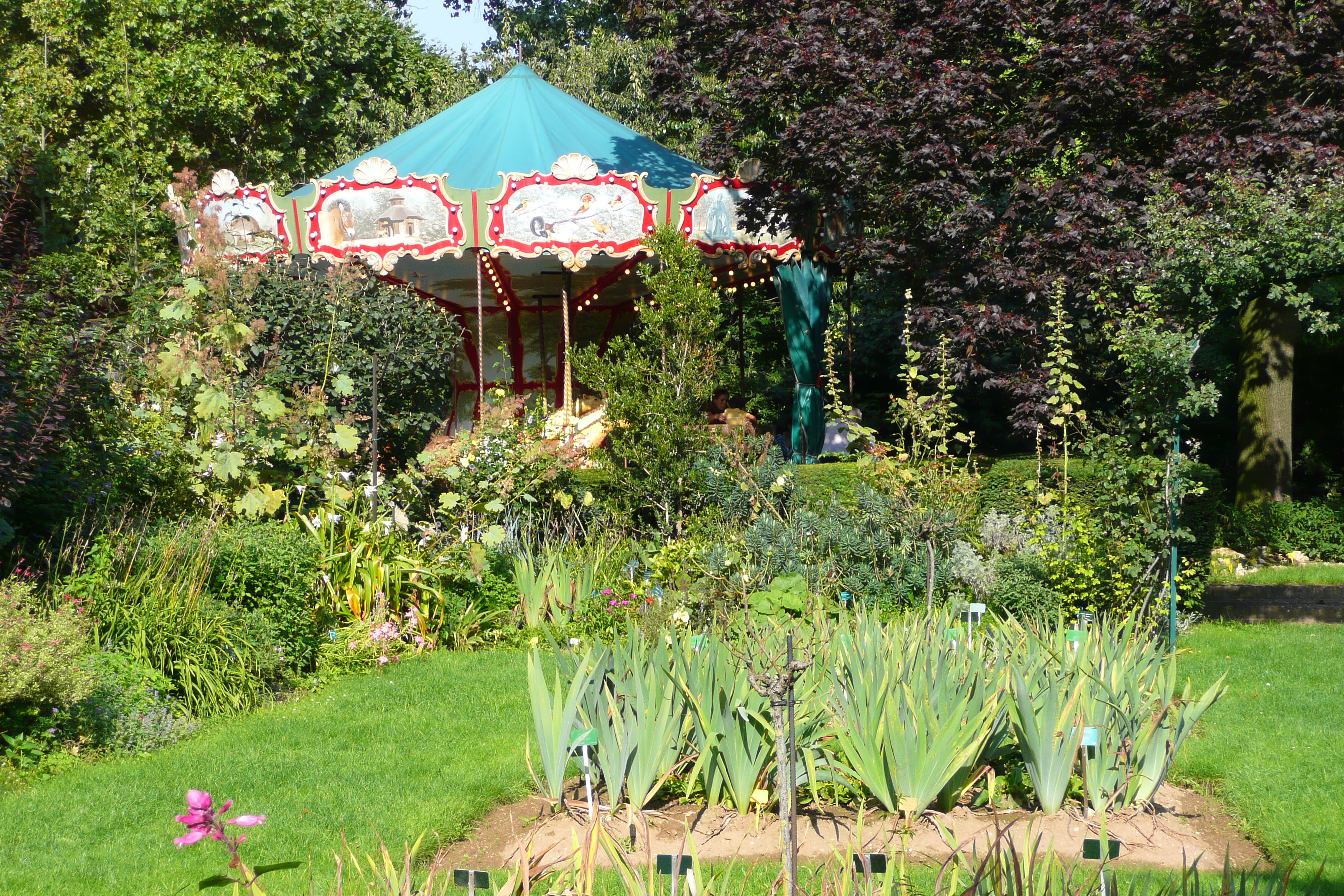 Picture France Paris Jardin des Plantes 2007-08 5 - Recreation Jardin des Plantes