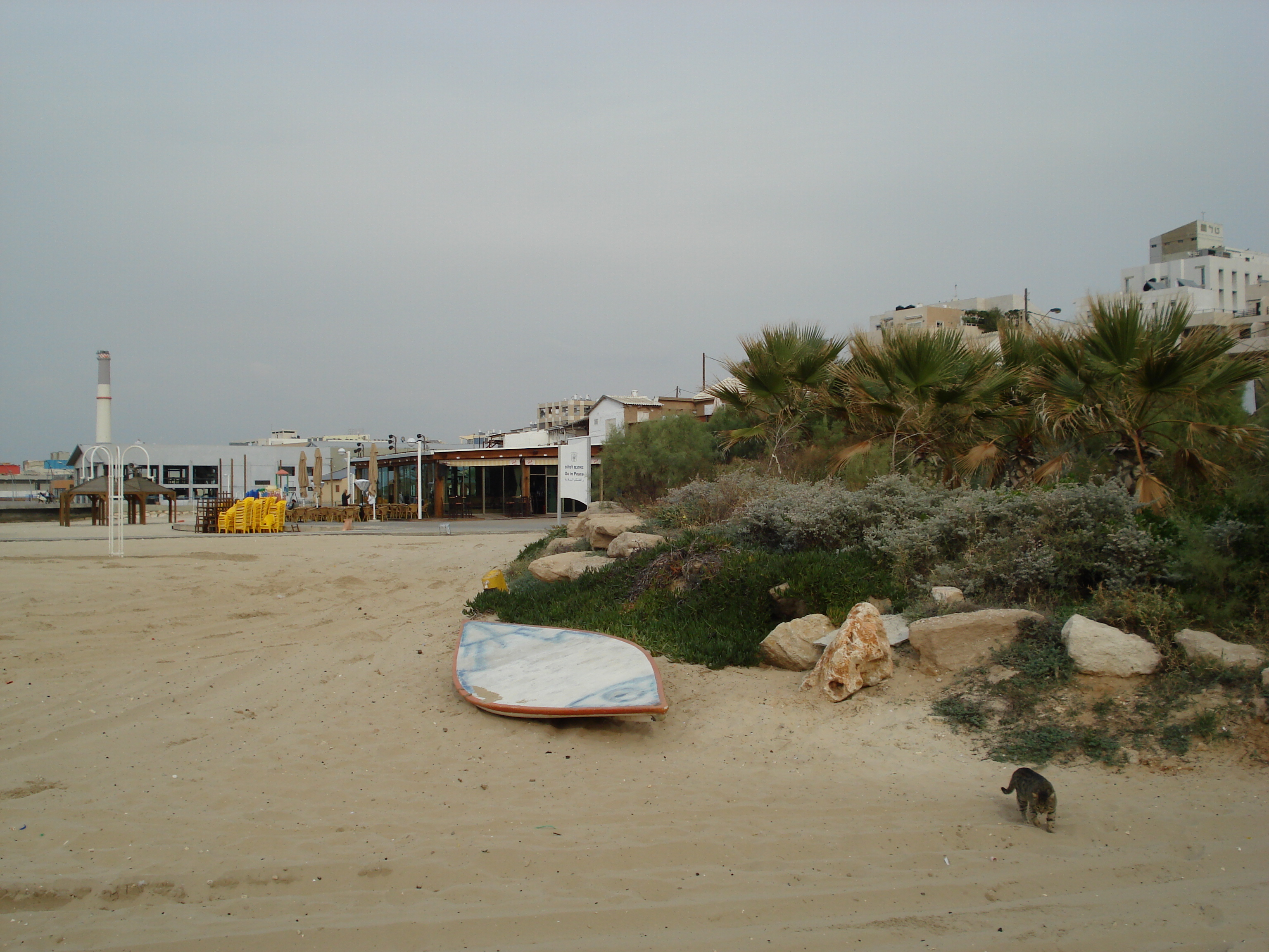 Picture Israel Tel Aviv Tel Aviv Sea Shore 2006-12 160 - History Tel Aviv Sea Shore