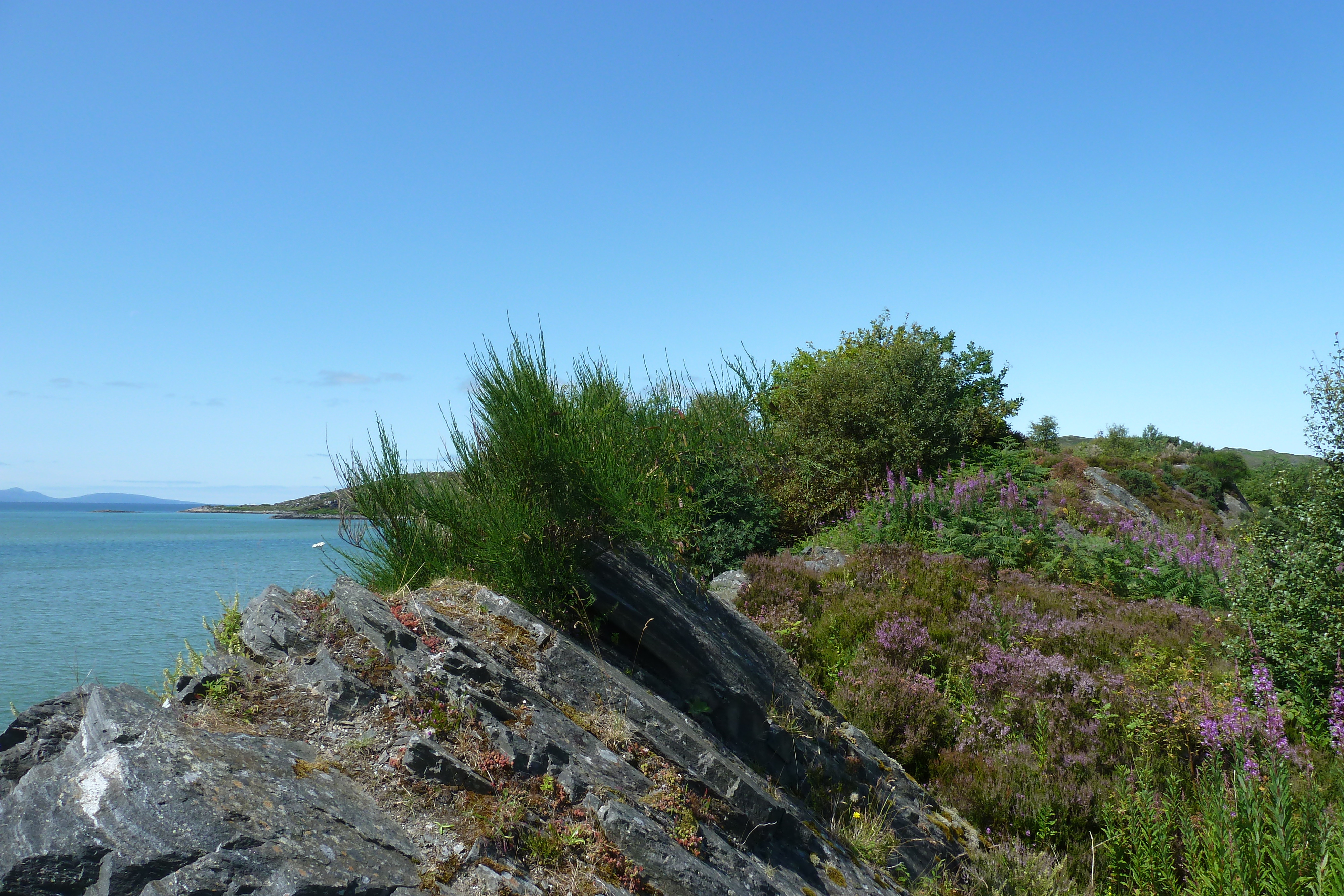 Picture United Kingdom Scotland Arisaig coast 2011-07 97 - History Arisaig coast