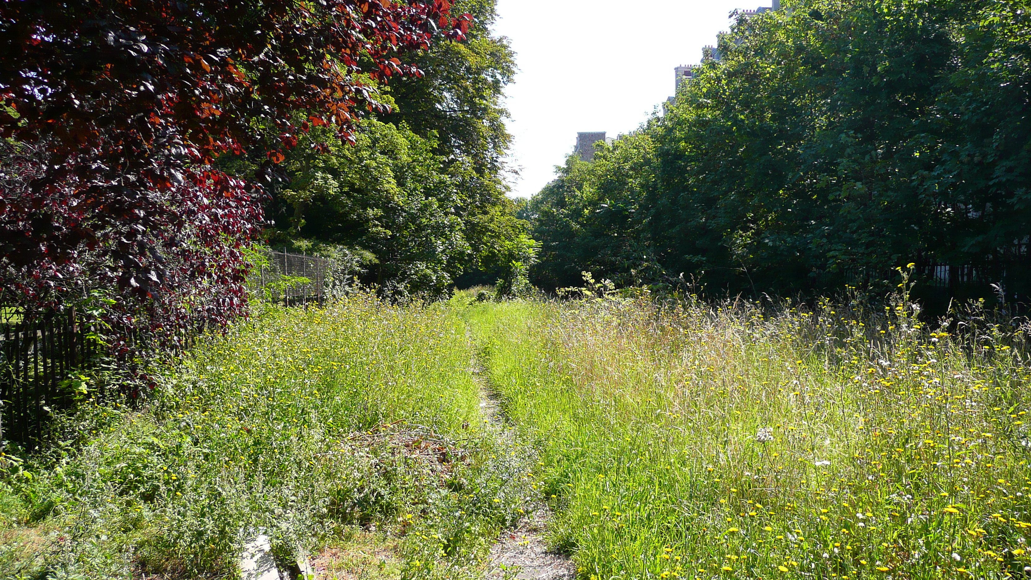 Picture France Paris Jardins du Ranelagh 2007-08 10 - Tour Jardins du Ranelagh