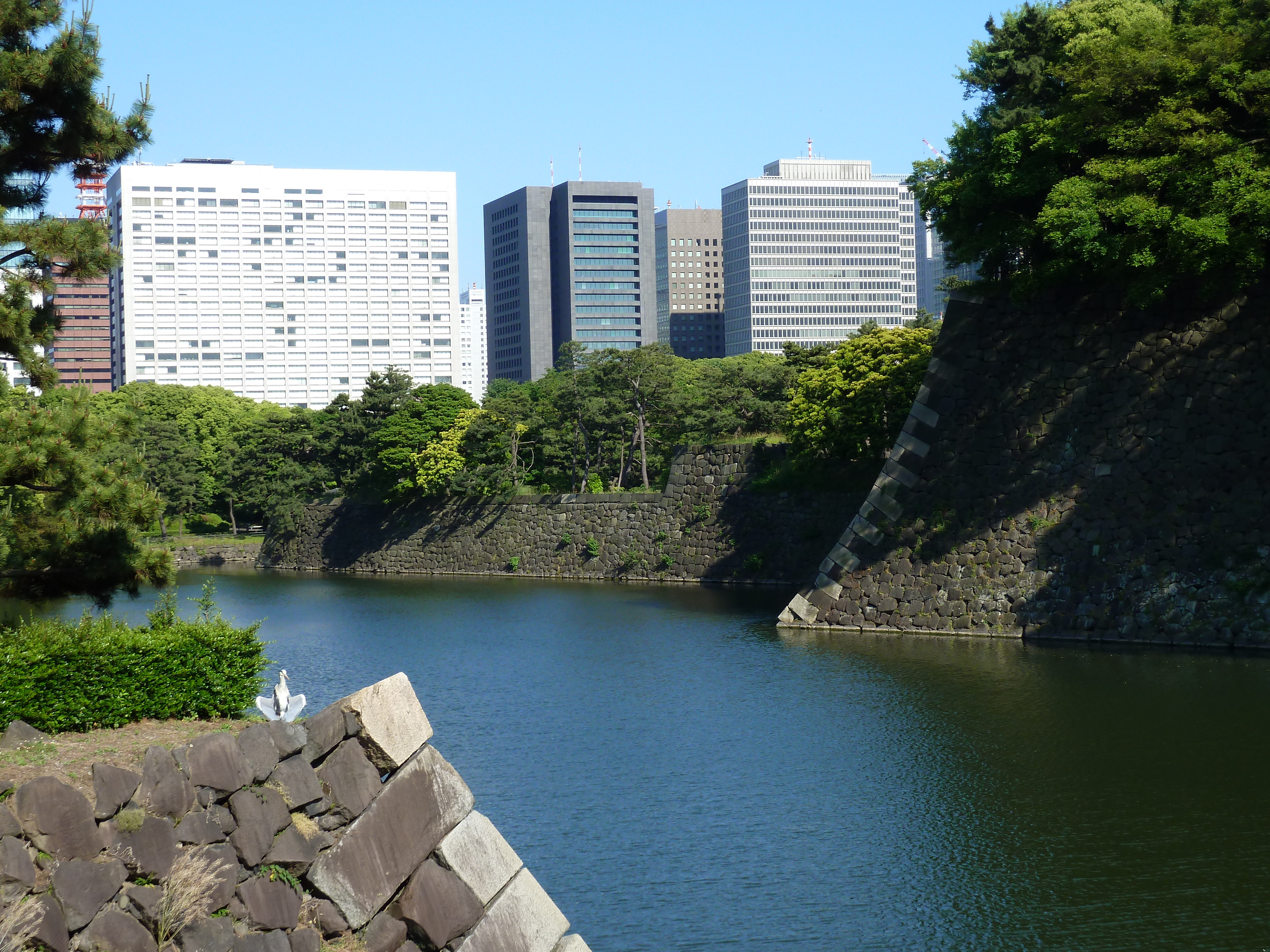 Picture Japan Tokyo Imperial Palace 2010-06 94 - Recreation Imperial Palace