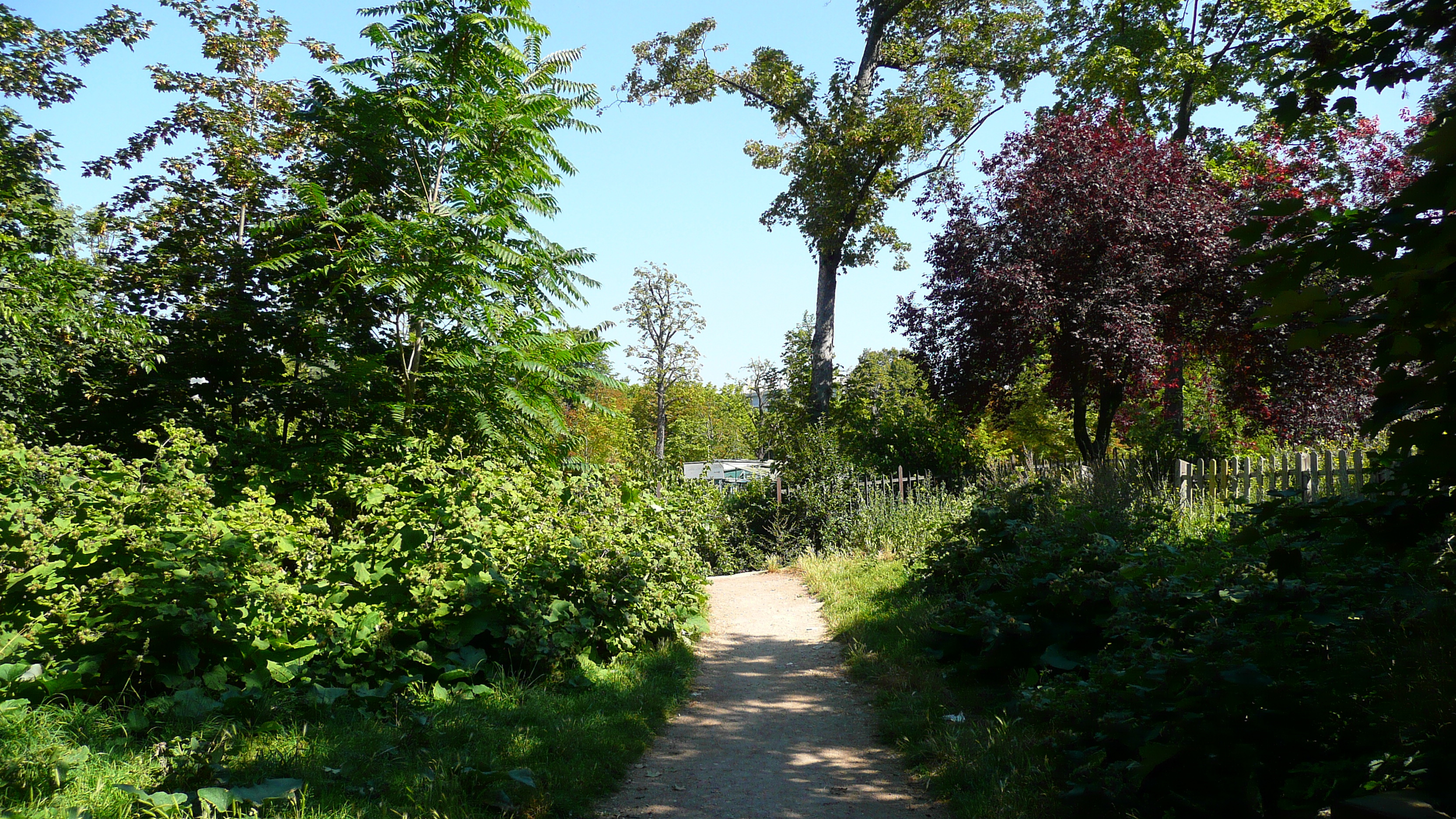 Picture France Paris Jardins du Ranelagh 2007-08 12 - Tour Jardins du Ranelagh