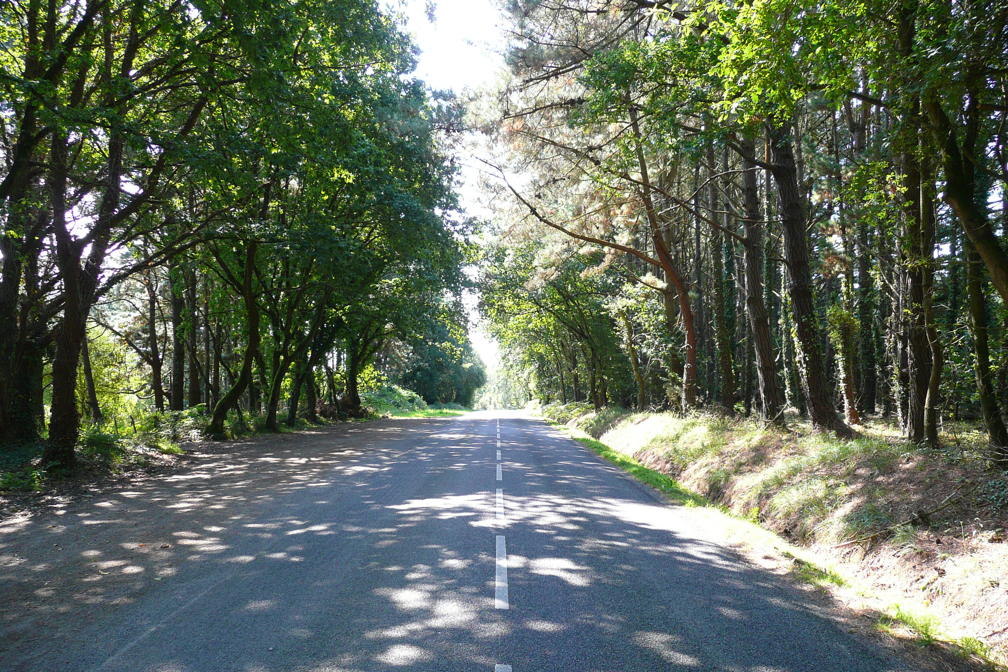 Picture France Brittany roads 2007-08 52 - Center Brittany roads