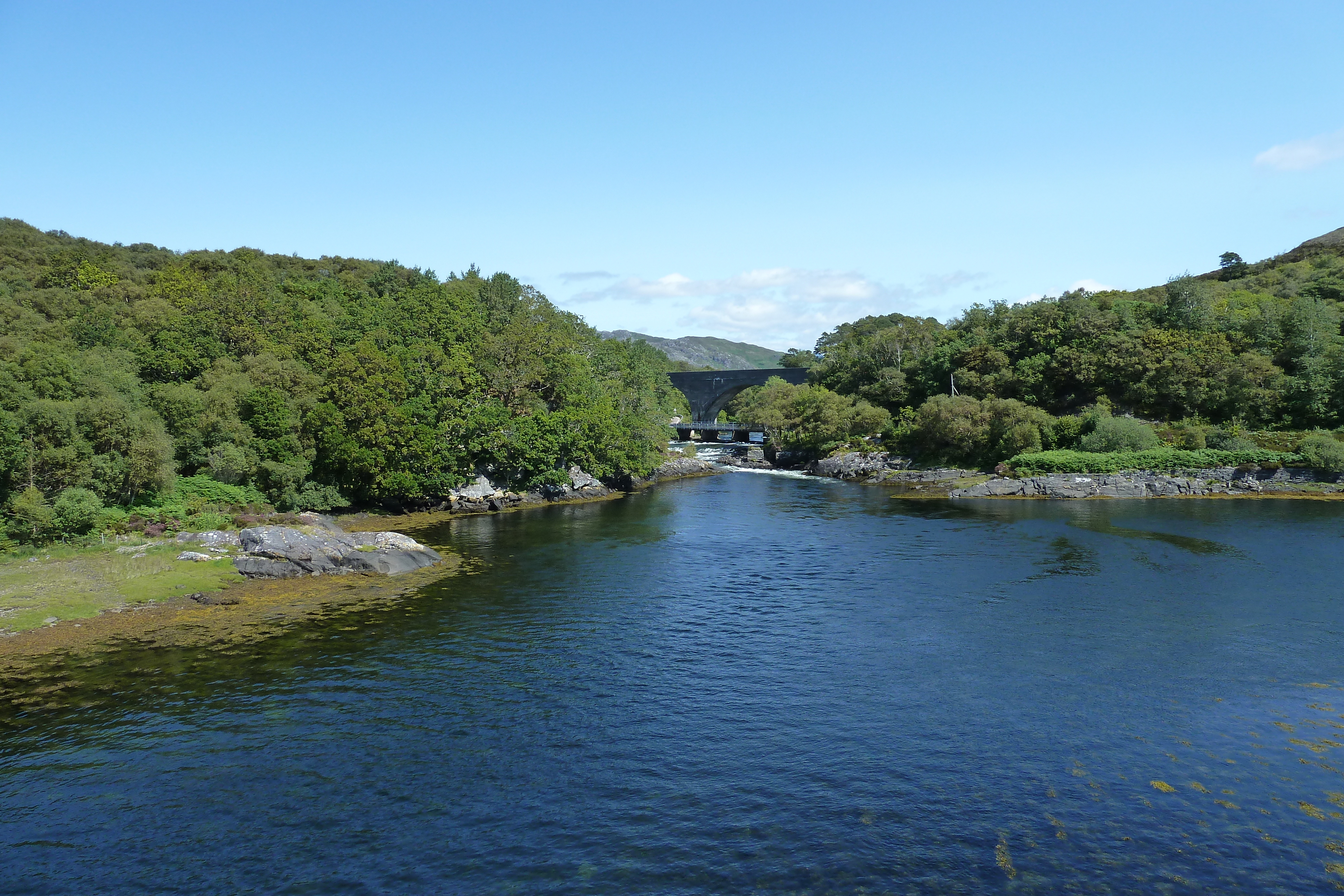 Picture United Kingdom Scotland Arisaig coast 2011-07 55 - Journey Arisaig coast