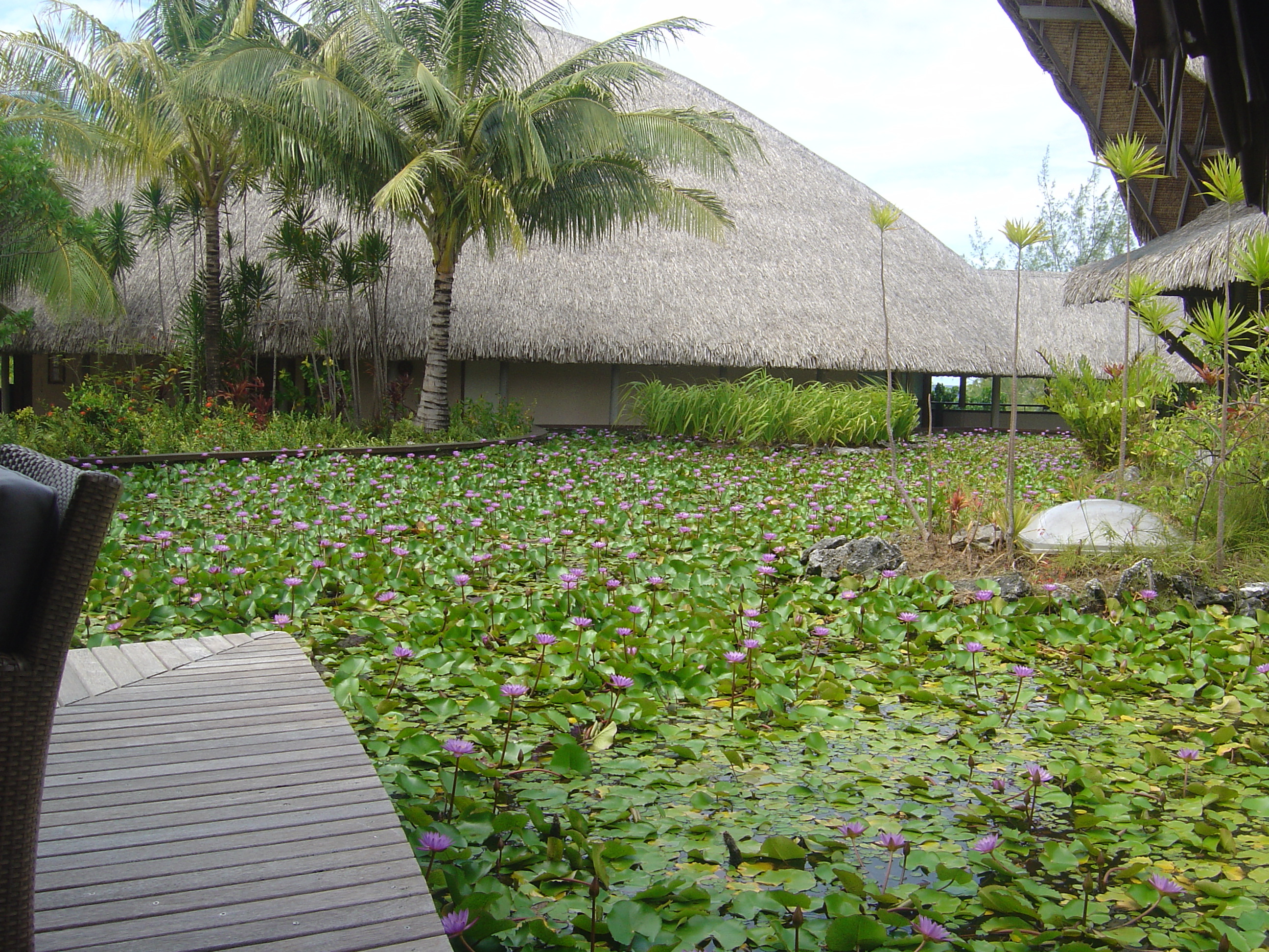 Picture Polynesia Meridien Bora Bora Hotel 2006-04 77 - Discovery Meridien Bora Bora Hotel