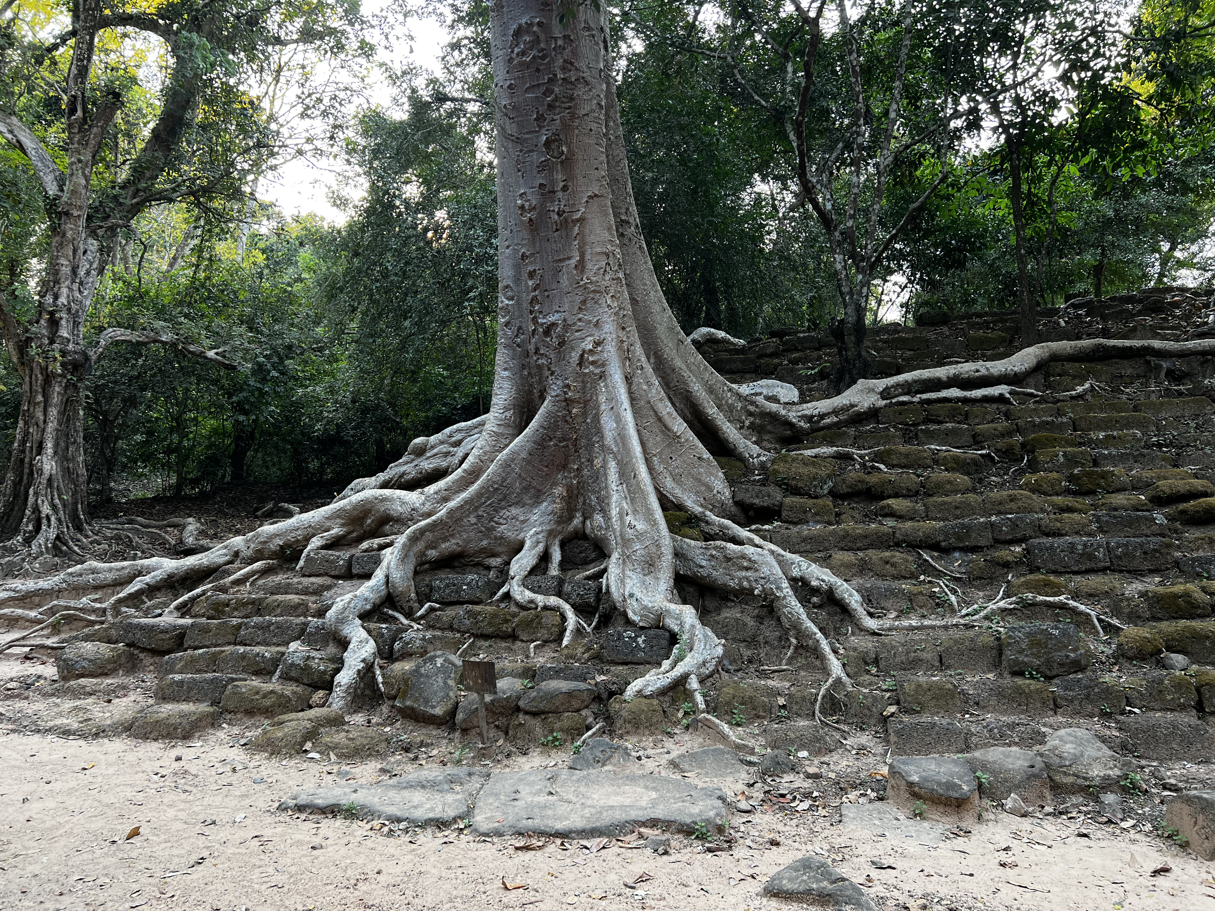 Picture Cambodia Siem Reap Angkor Thom 2023-01 19 - Tour Angkor Thom