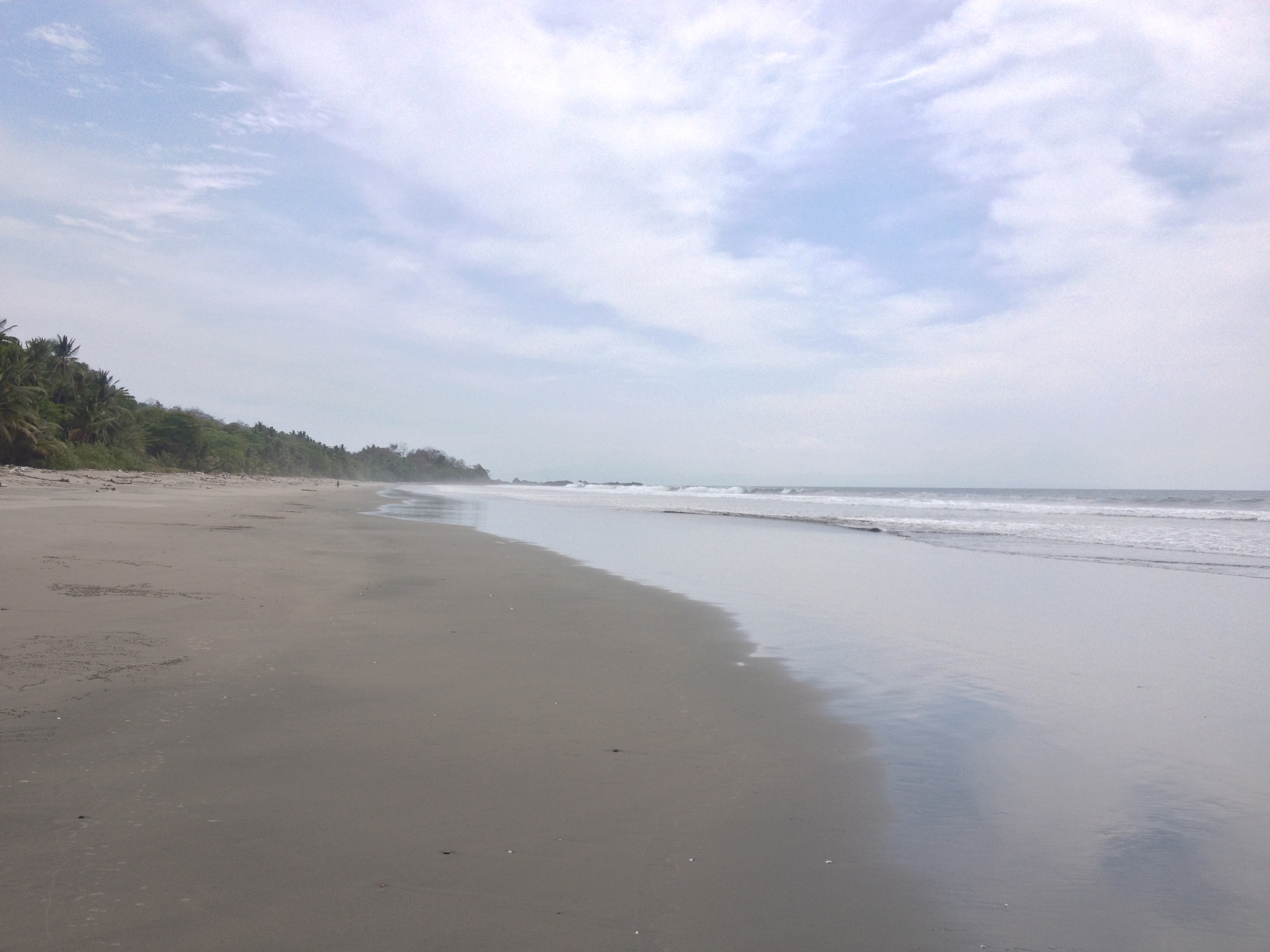 Picture Costa Rica Montezuma 2015-03 271 - Discovery Montezuma