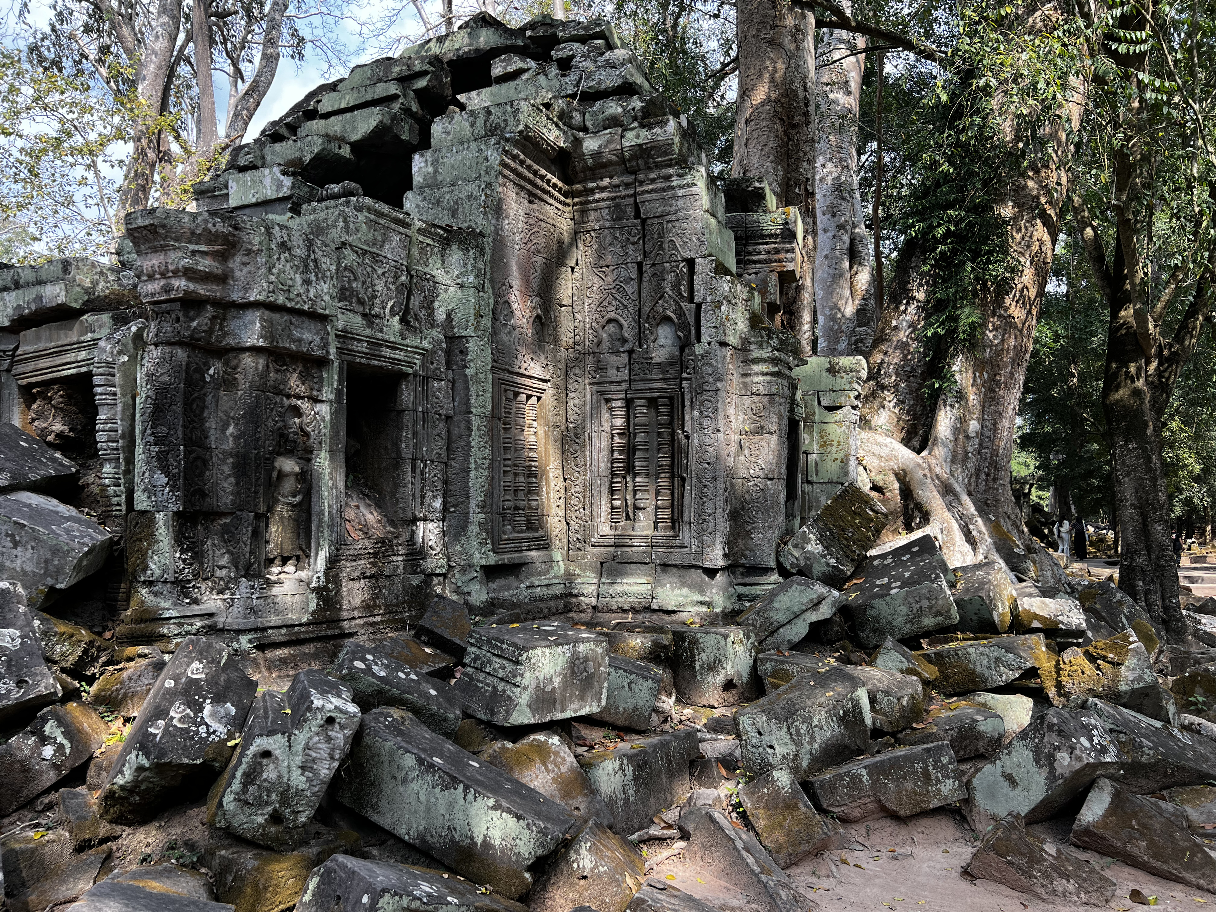 Picture Cambodia Siem Reap Ta Prohm 2023-01 69 - Tour Ta Prohm