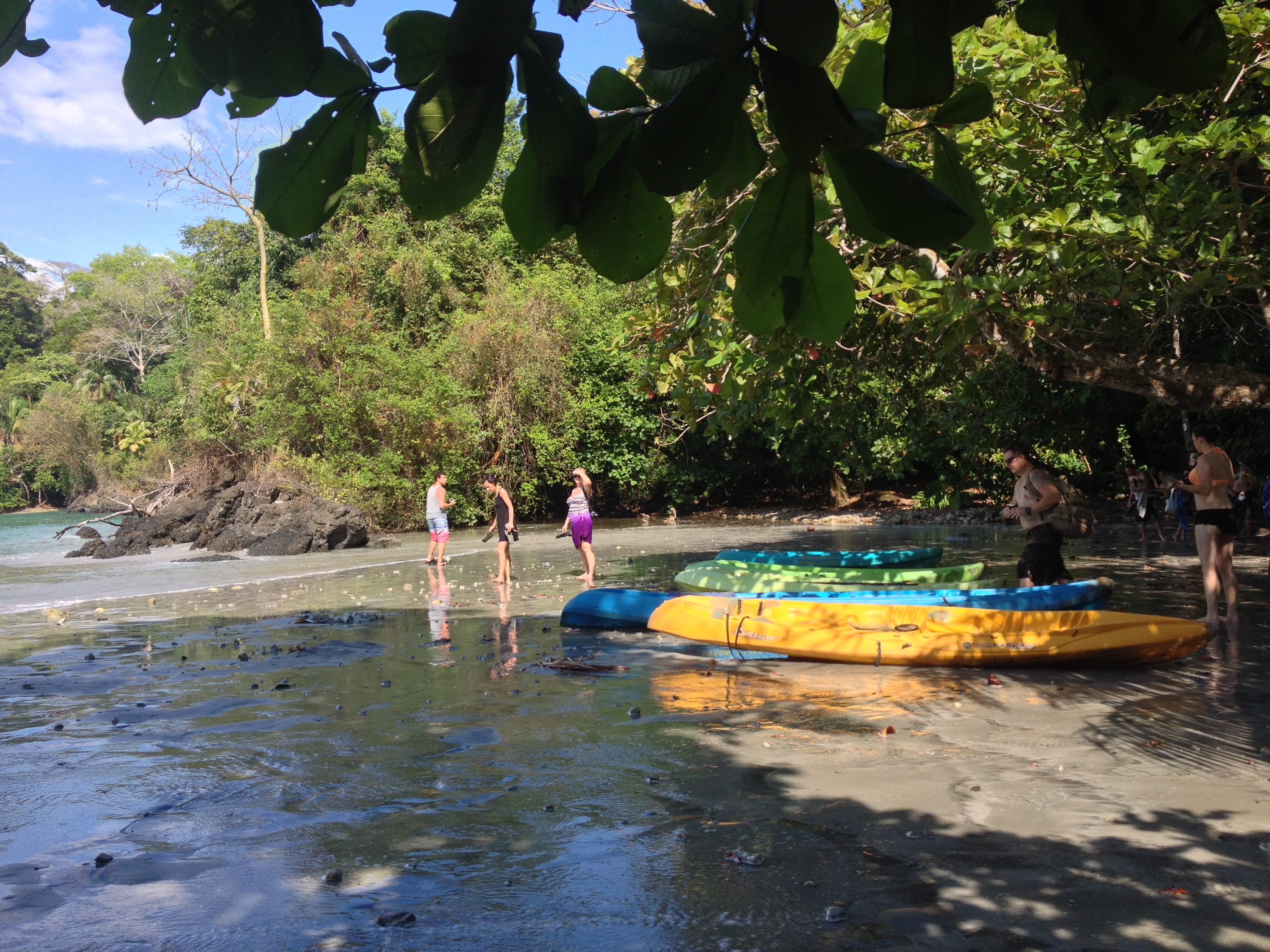 Picture Costa Rica Manuel Antonio 2015-03 482 - Discovery Manuel Antonio