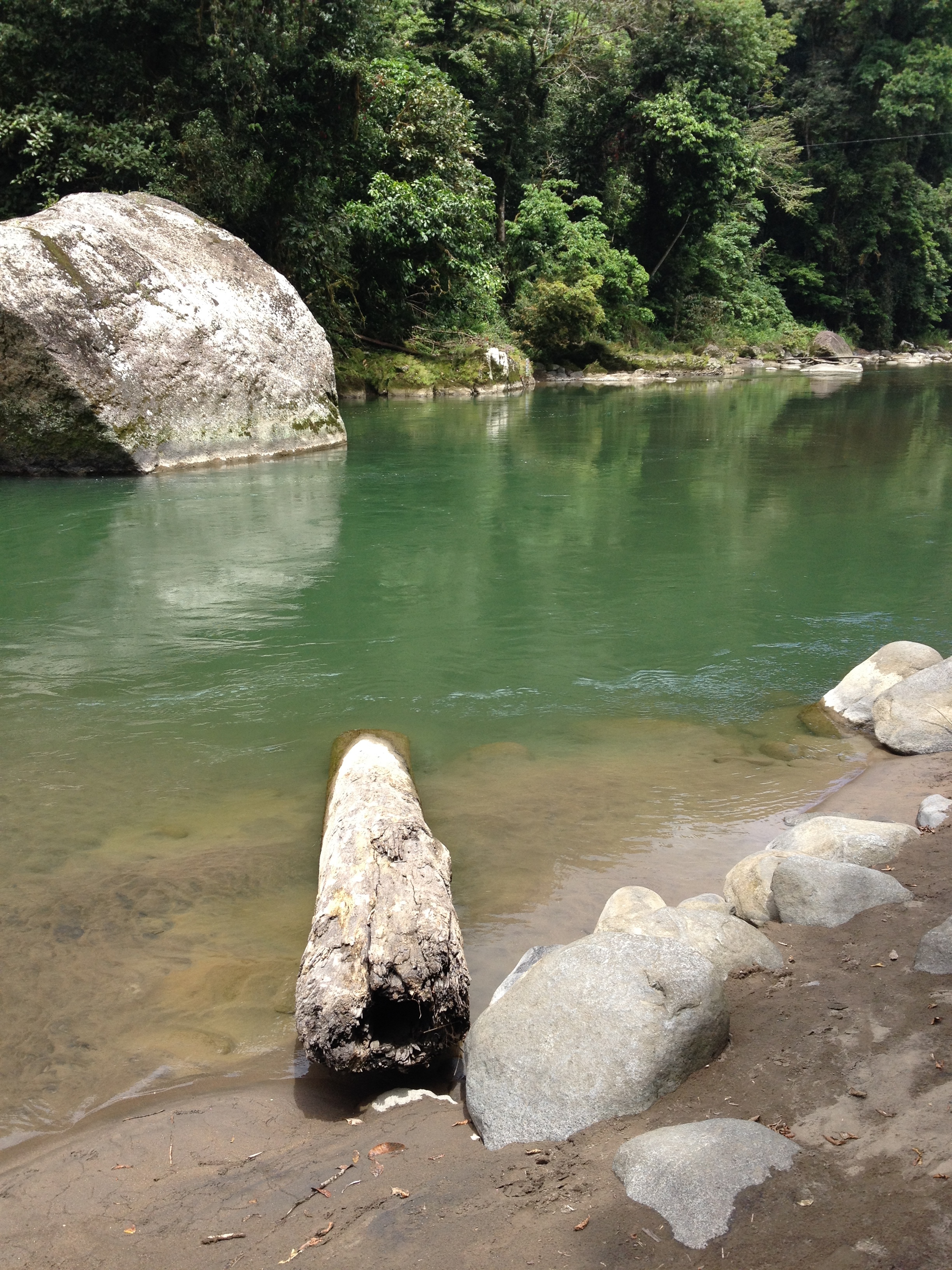 Picture Costa Rica Pacuare River 2015-03 255 - Around Pacuare River