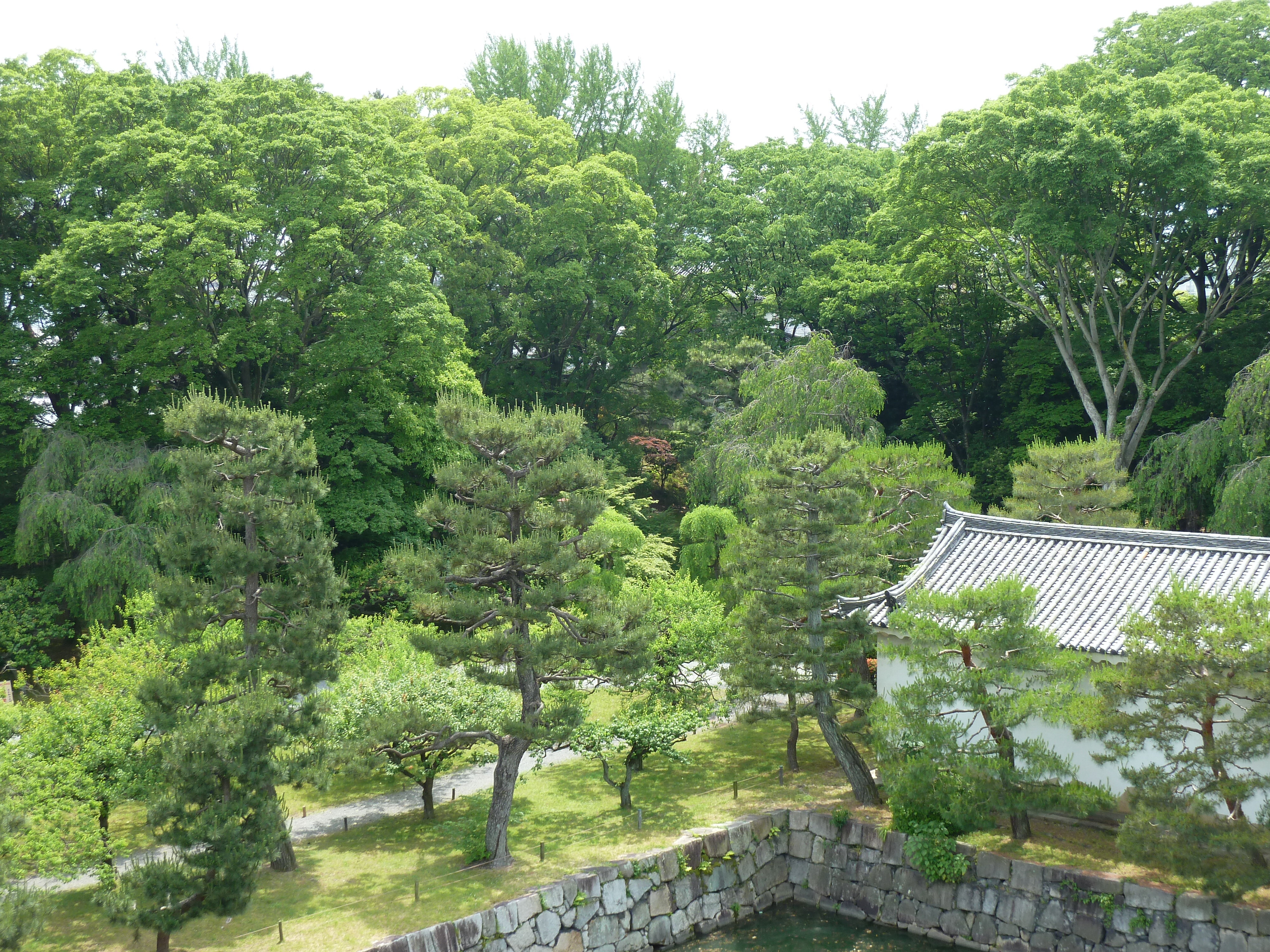 Picture Japan Kyoto Nijo Castle Honmaru Palace 2010-06 1 - Discovery Honmaru Palace