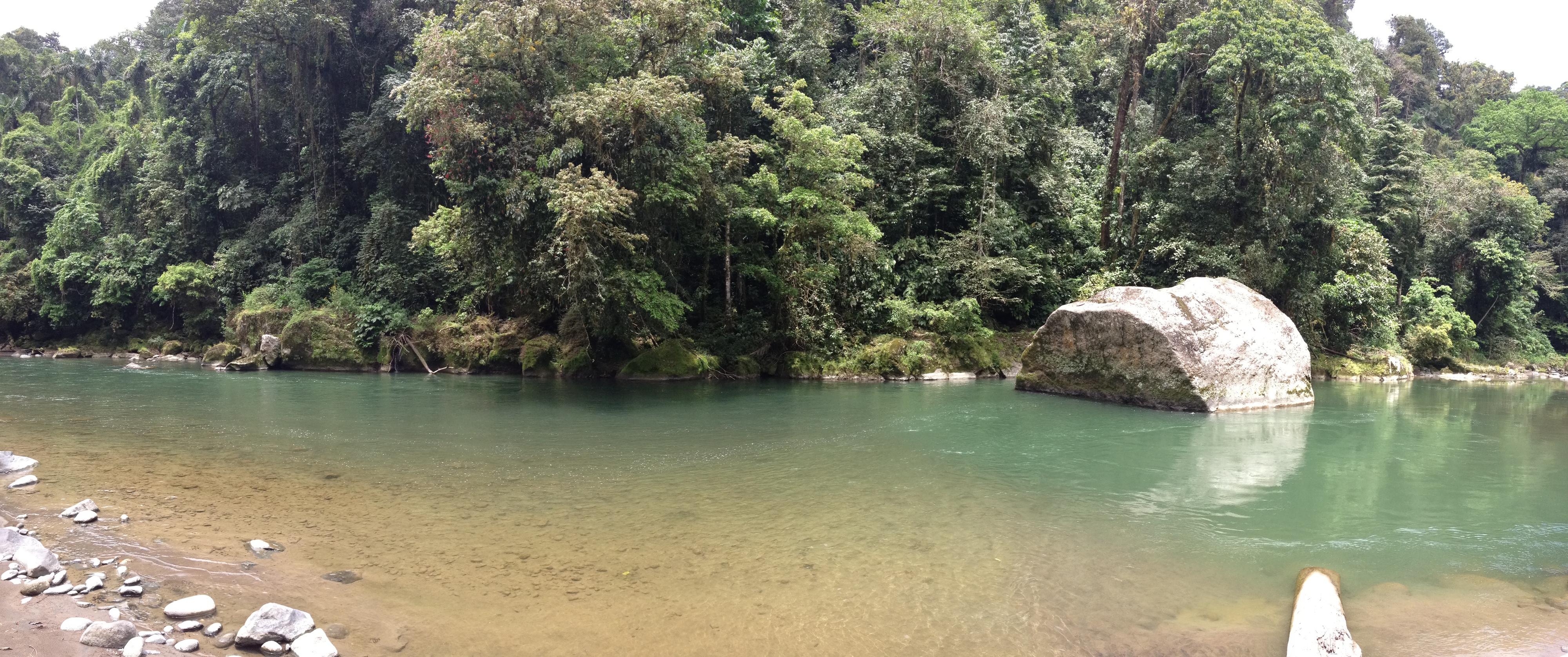 Picture Costa Rica Pacuare River 2015-03 212 - Around Pacuare River