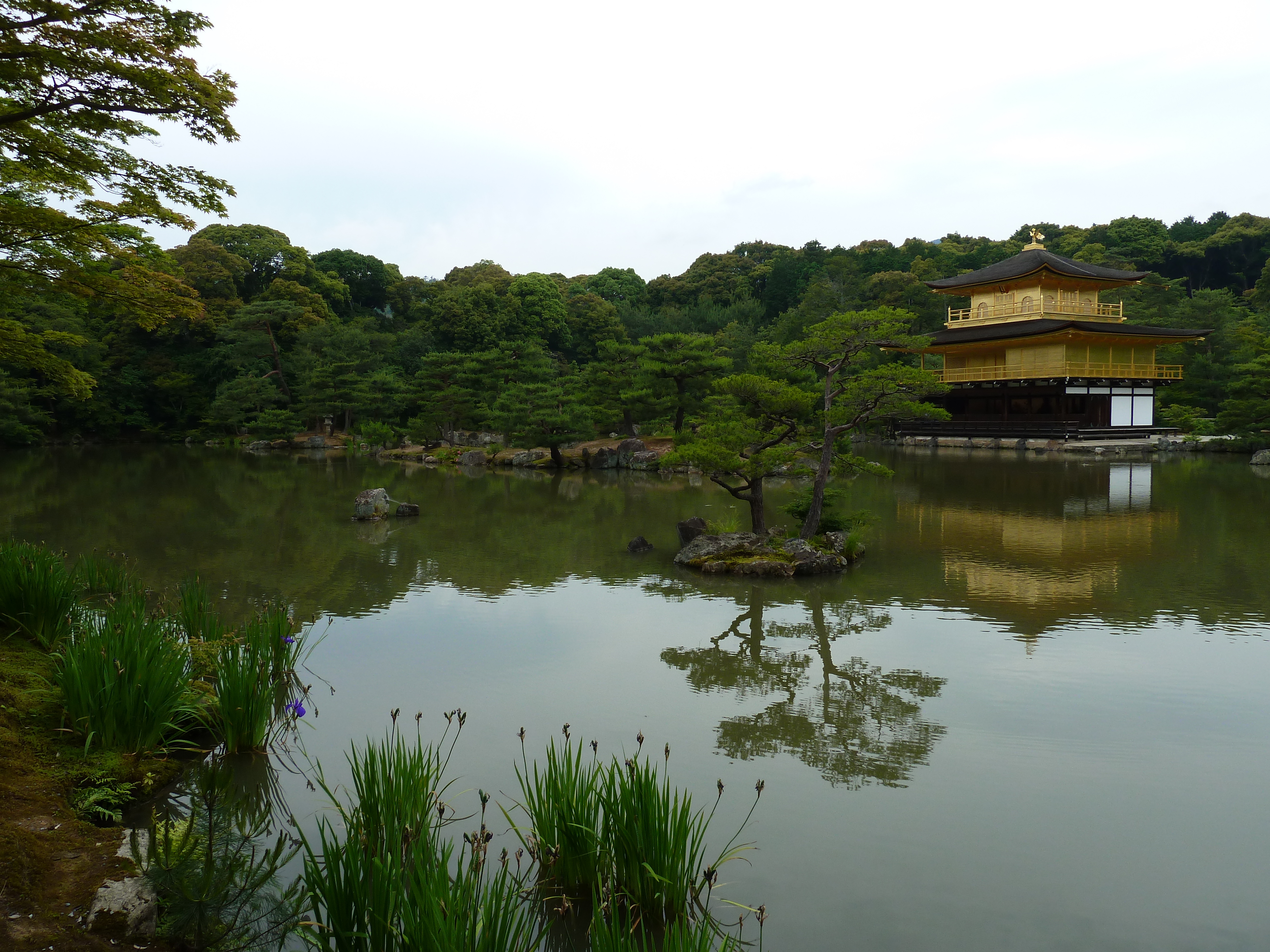 Picture Japan Kyoto Kinkakuji Temple(Golden Pavilion) 2010-06 24 - Tours Kinkakuji Temple(Golden Pavilion)