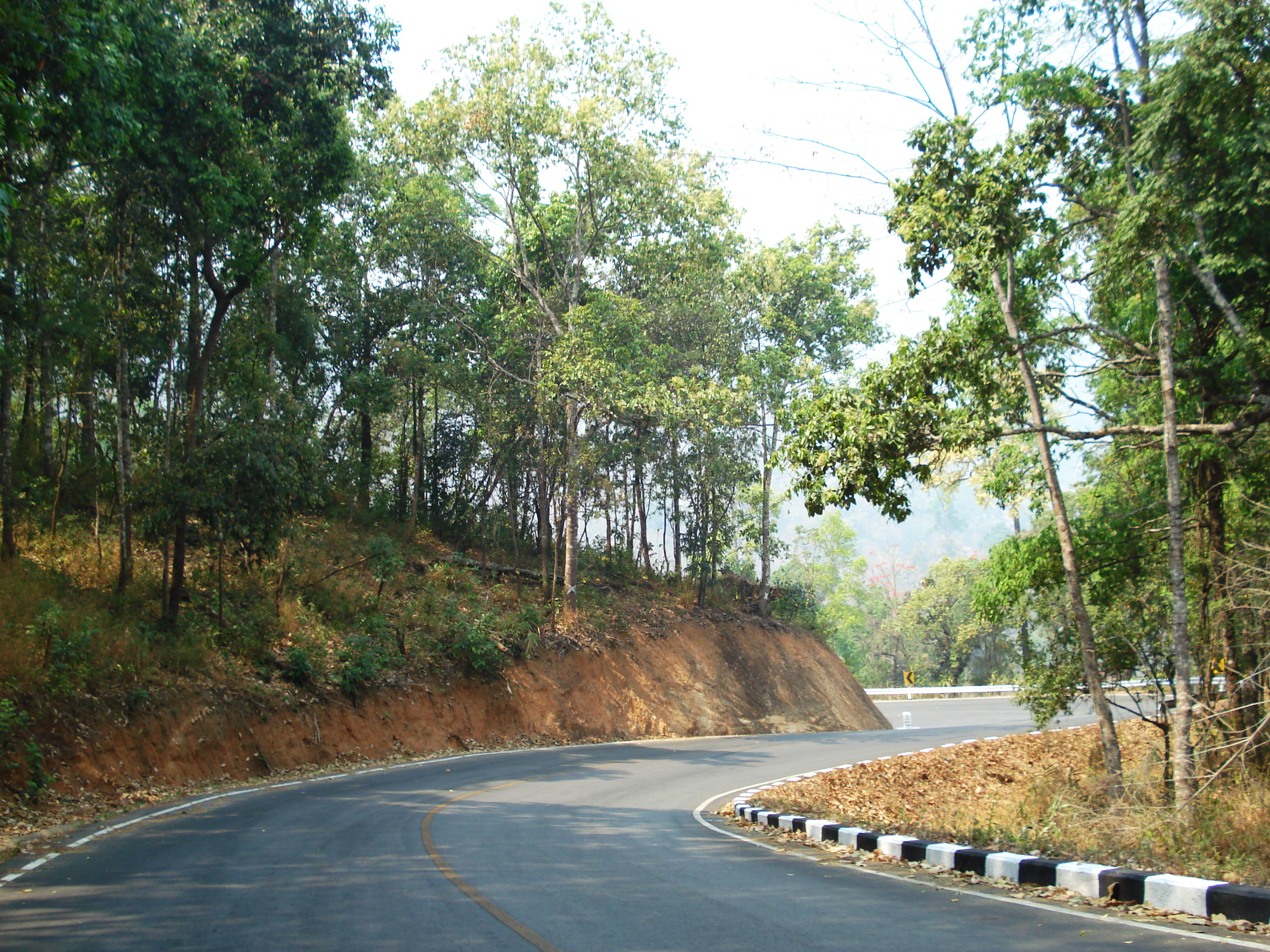 Picture Thailand Pang Mapha to Pai road 2007-02 32 - Journey Pang Mapha to Pai road