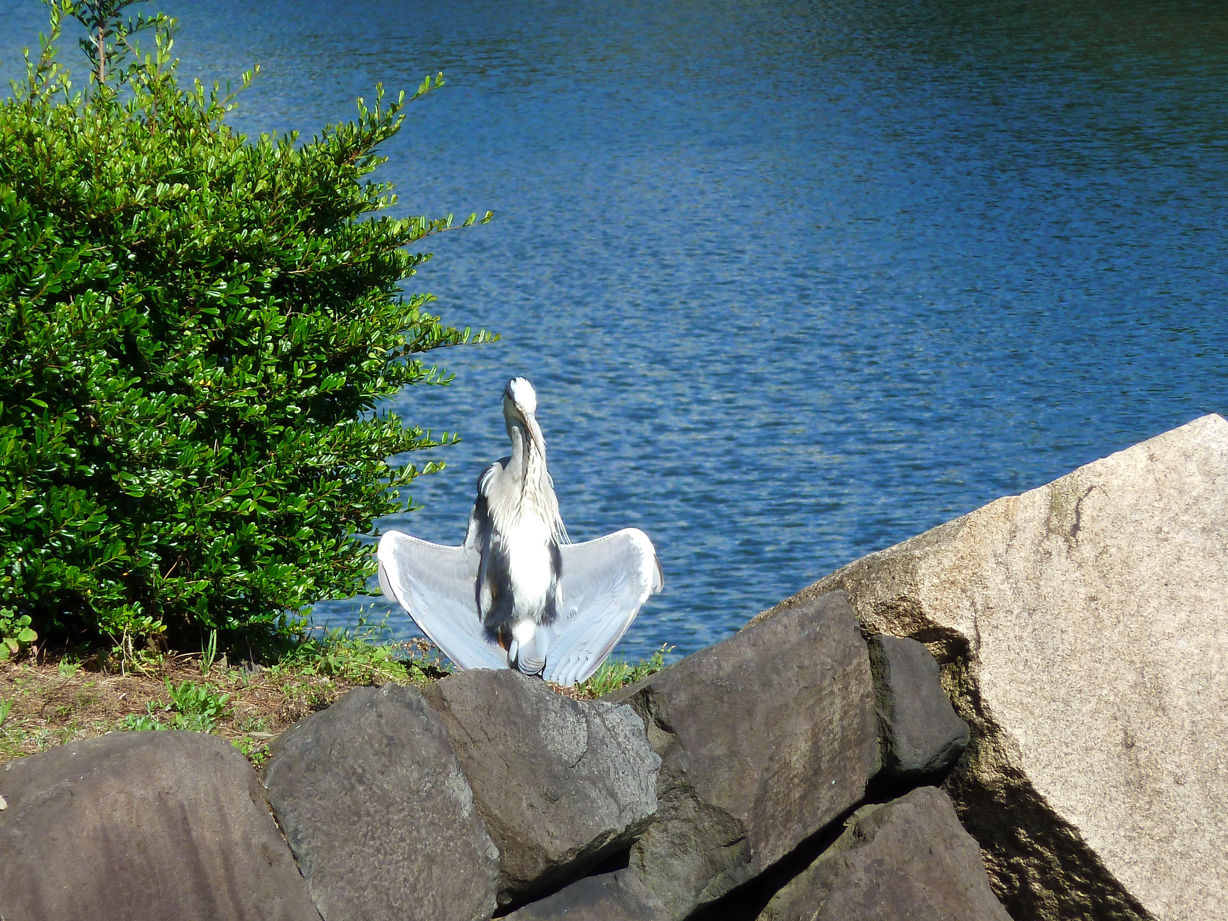 Picture Japan Tokyo Imperial Palace 2010-06 2 - Around Imperial Palace