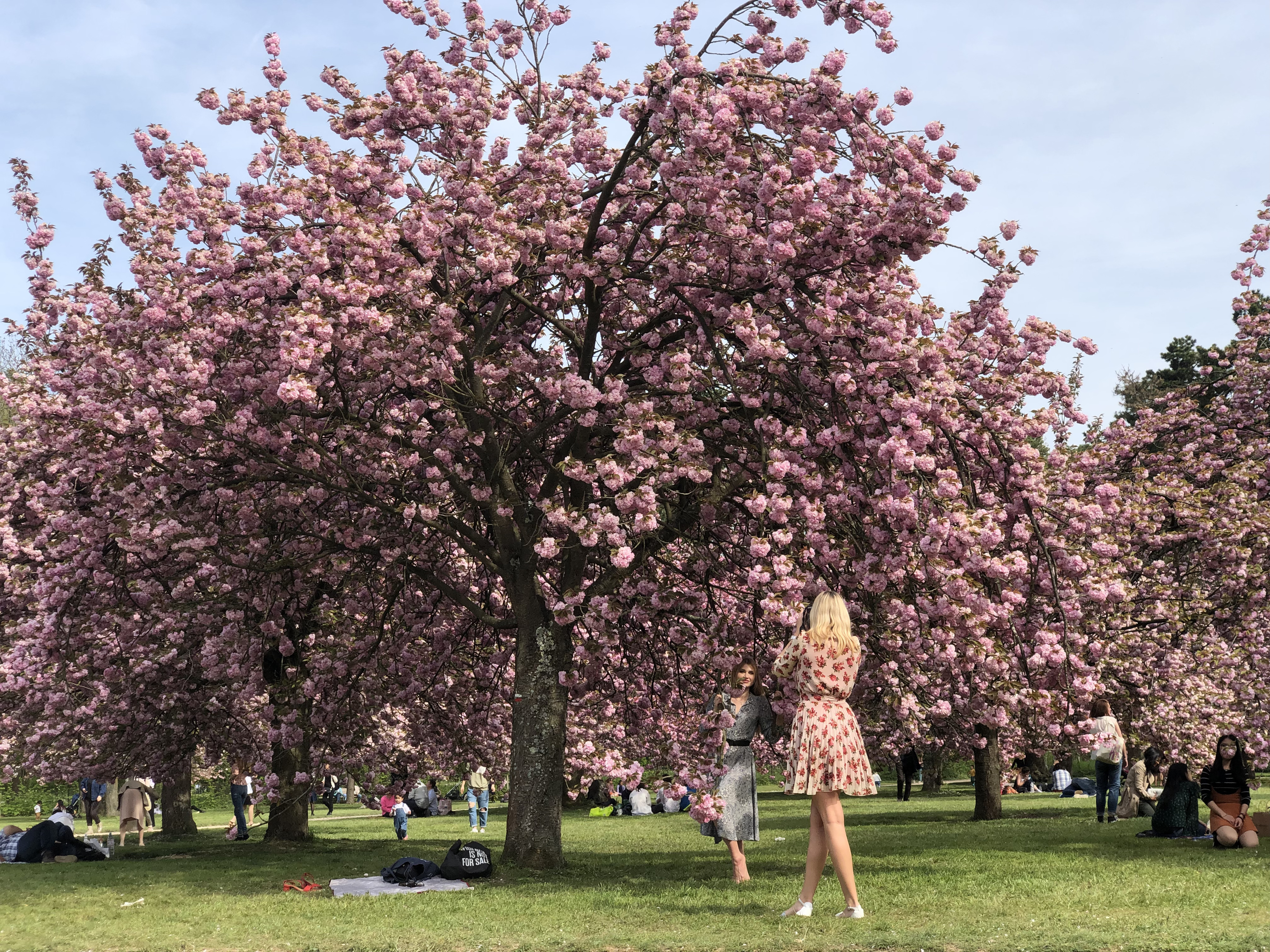 Picture France Parc de Sceaux 2019-04 29 - Discovery Parc de Sceaux