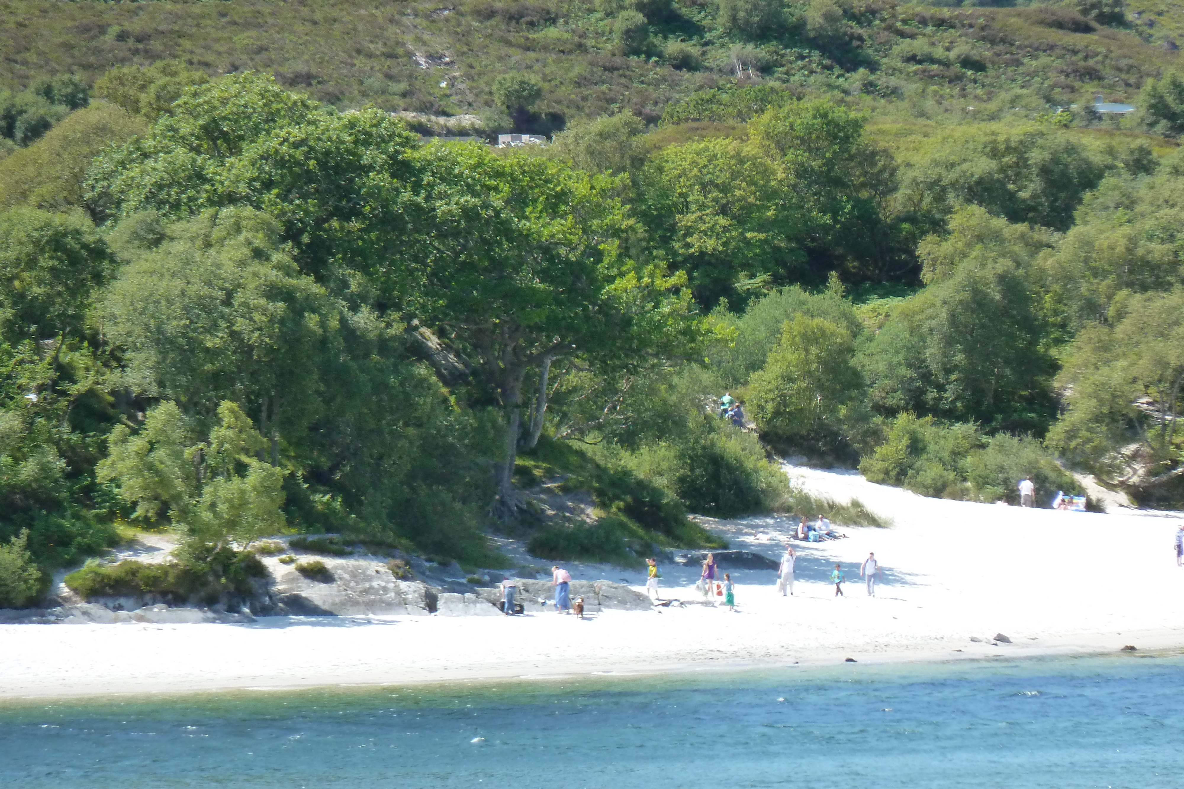 Picture United Kingdom Scotland Arisaig coast 2011-07 64 - Tours Arisaig coast