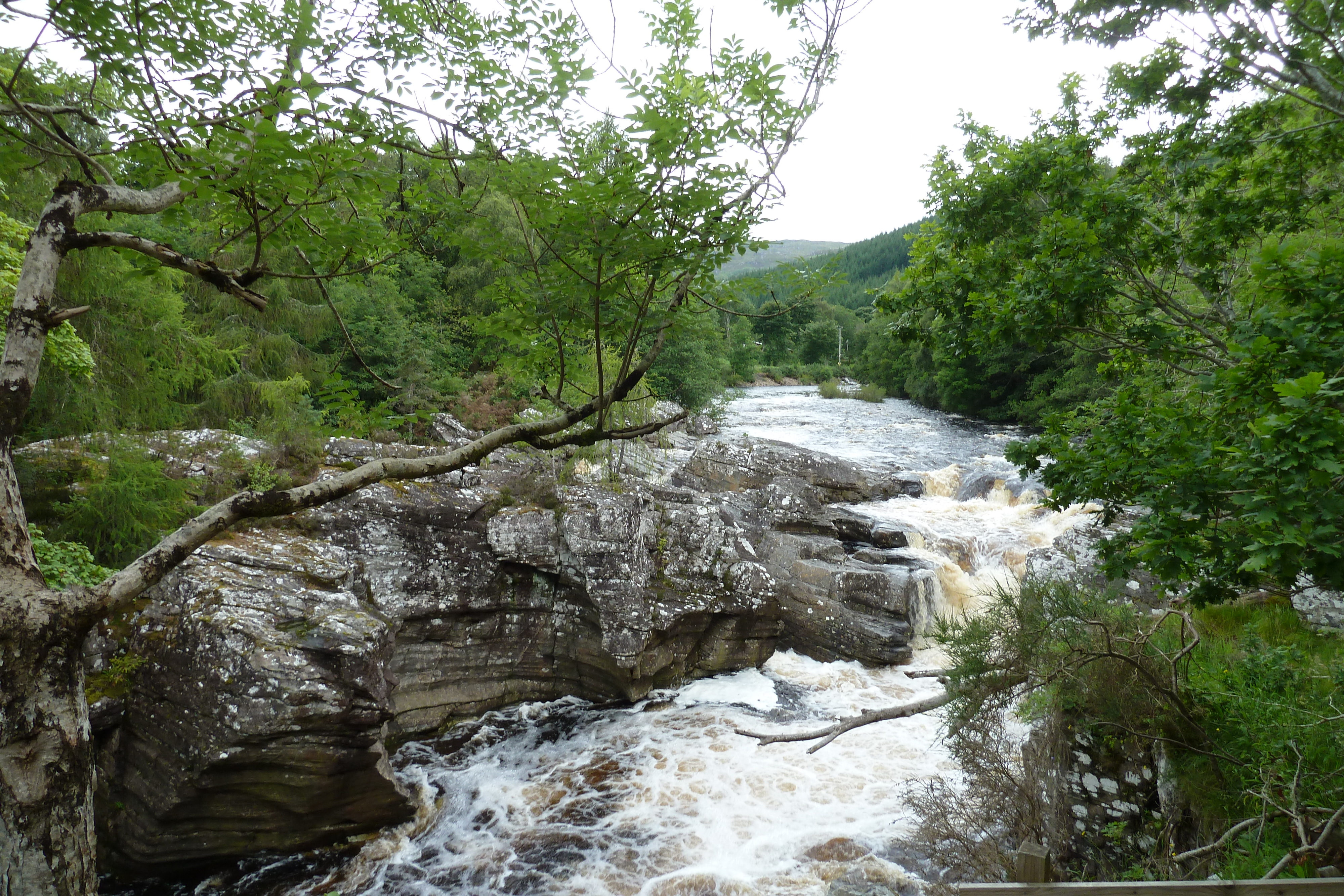 Picture United Kingdom Scotland Loch Laggan to Loch Ness road 2011-07 20 - Discovery Loch Laggan to Loch Ness road