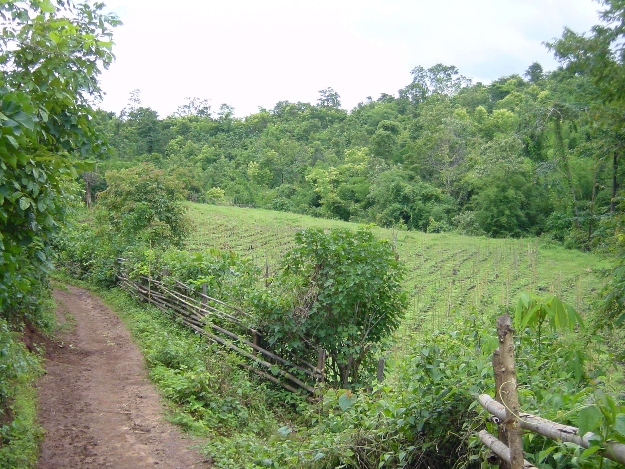 Picture Thailand Mae Hong Son 2003-07 29 - Tours Mae Hong Son