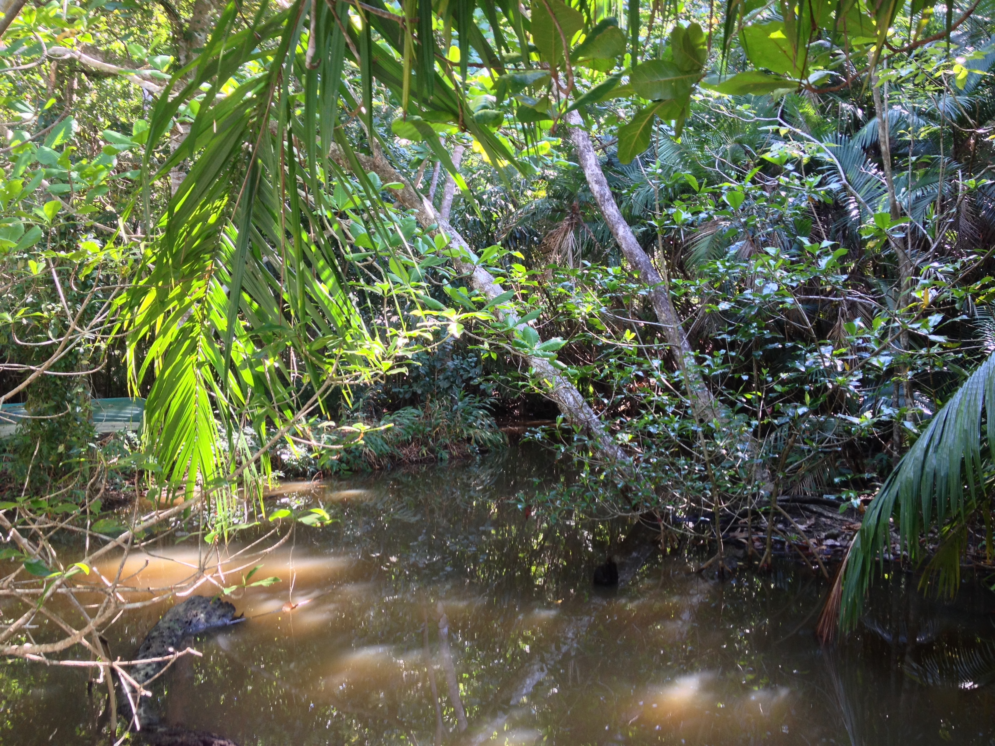 Picture Costa Rica Manuel Antonio 2015-03 57 - History Manuel Antonio