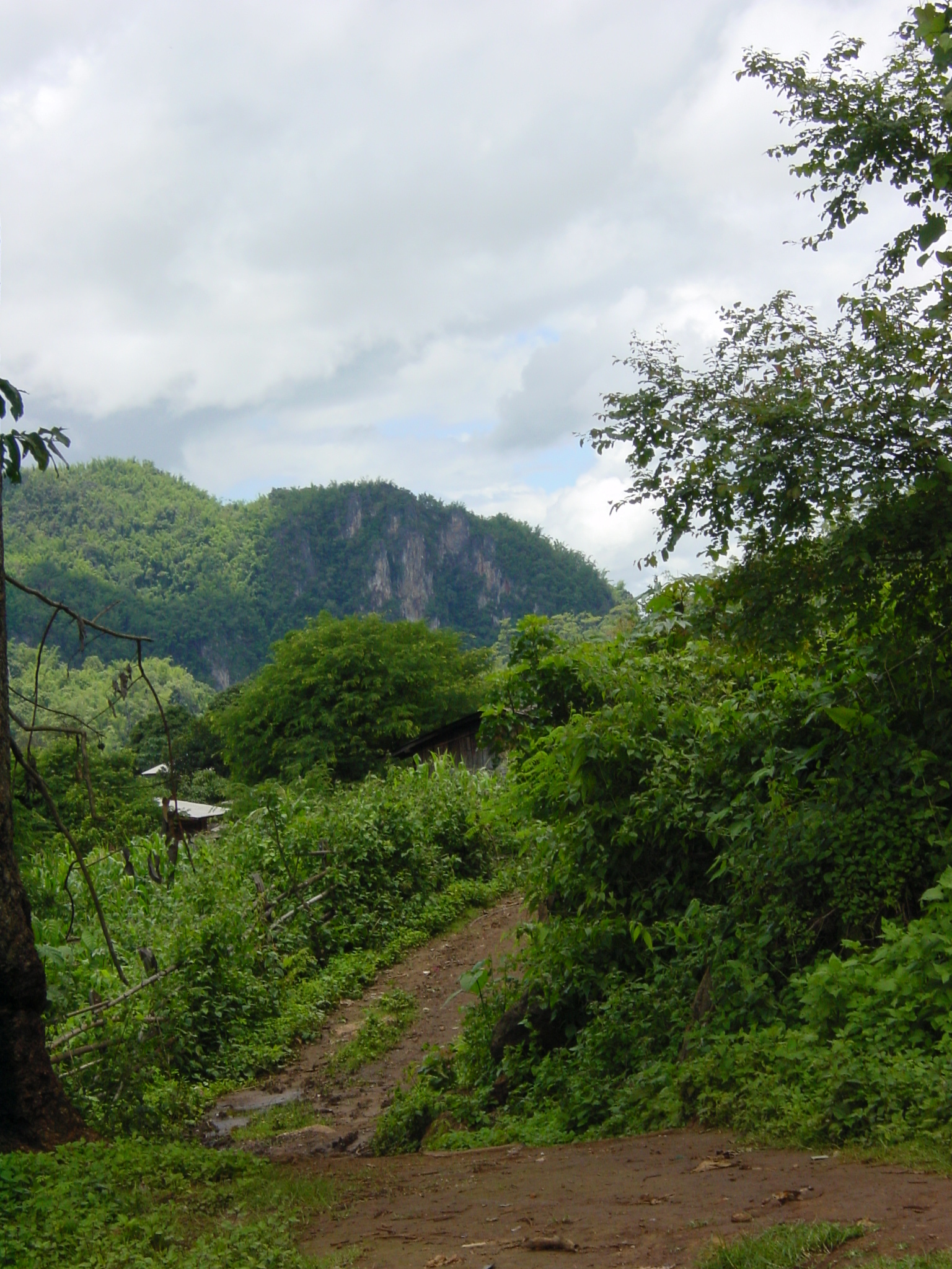 Picture Thailand Mae Hong Son 2003-07 19 - Center Mae Hong Son