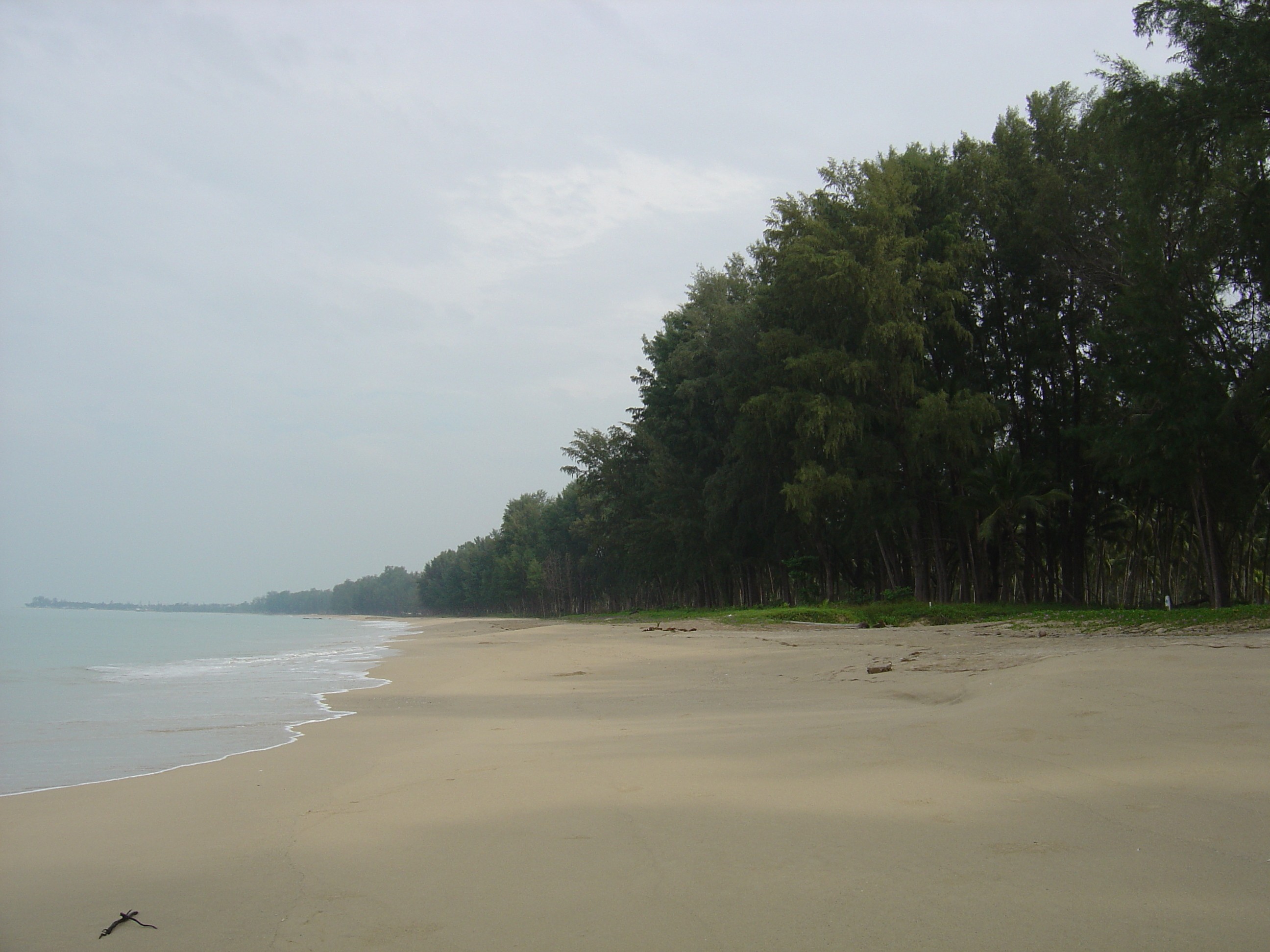 Picture Thailand Khao Lak Bang Sak Beach 2005-12 64 - Tour Bang Sak Beach