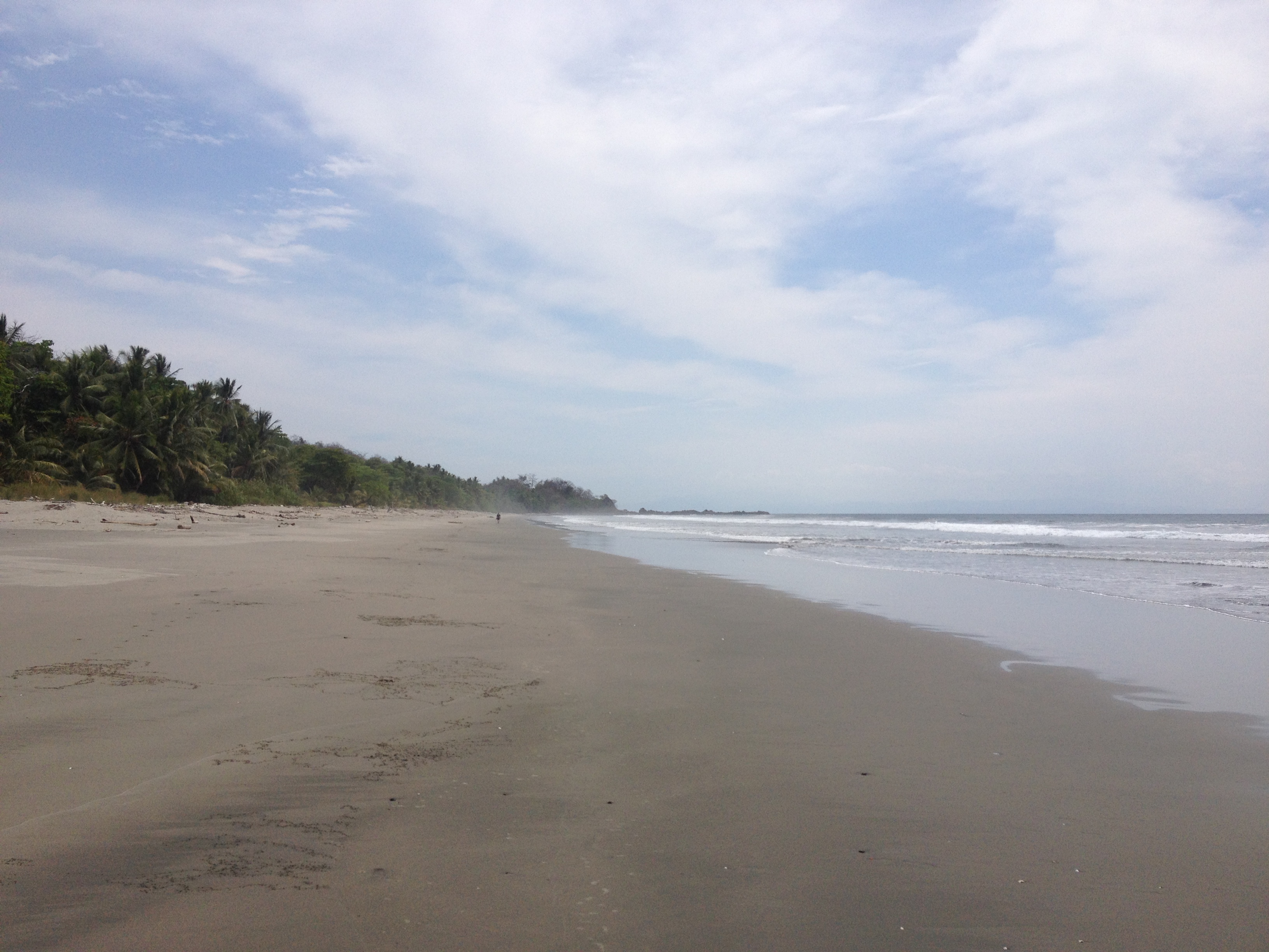 Picture Costa Rica Montezuma 2015-03 325 - Tours Montezuma