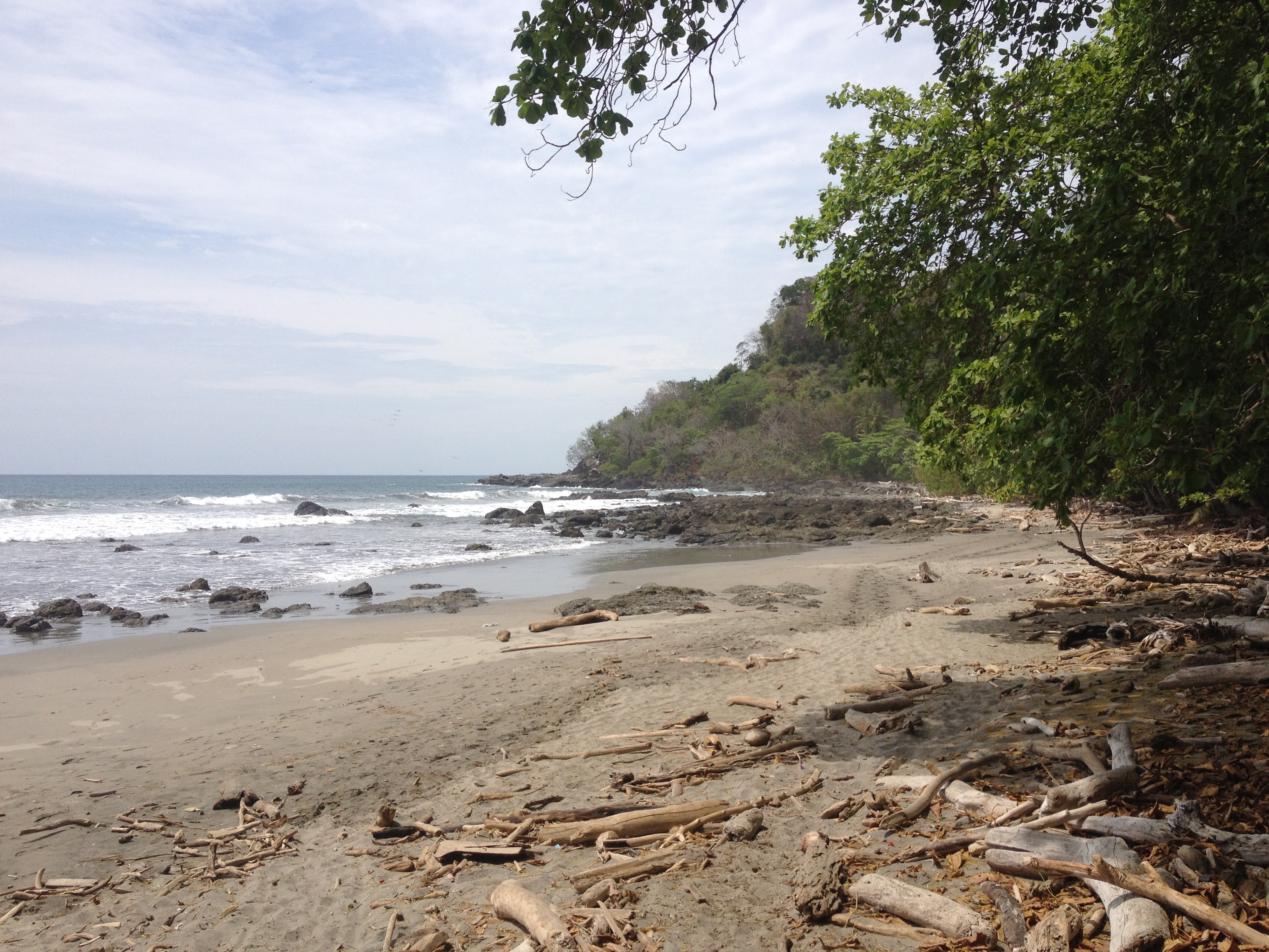 Picture Costa Rica Montezuma 2015-03 202 - Tour Montezuma