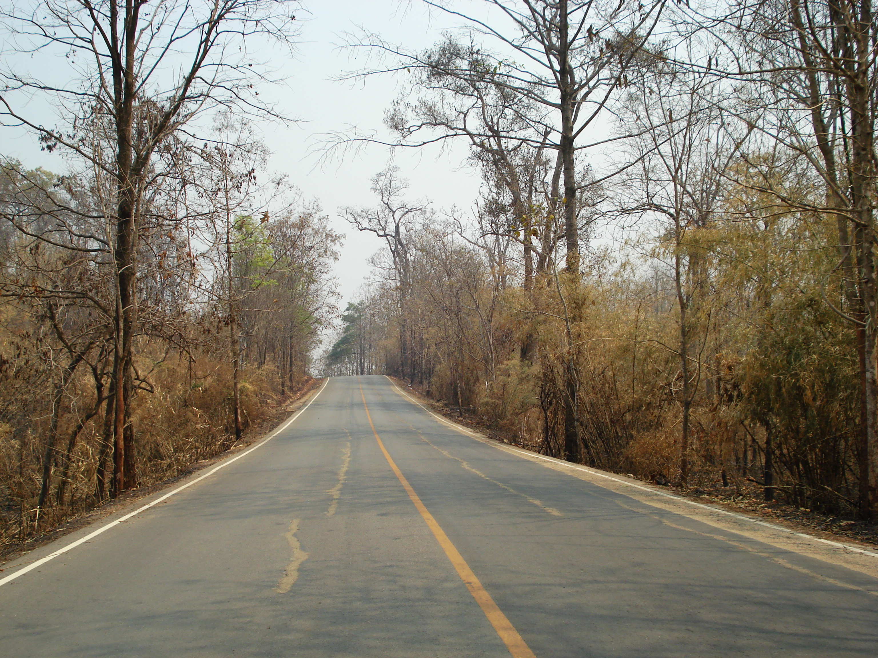 Picture Thailand Pang Mapha to Pai road 2007-02 30 - Tours Pang Mapha to Pai road