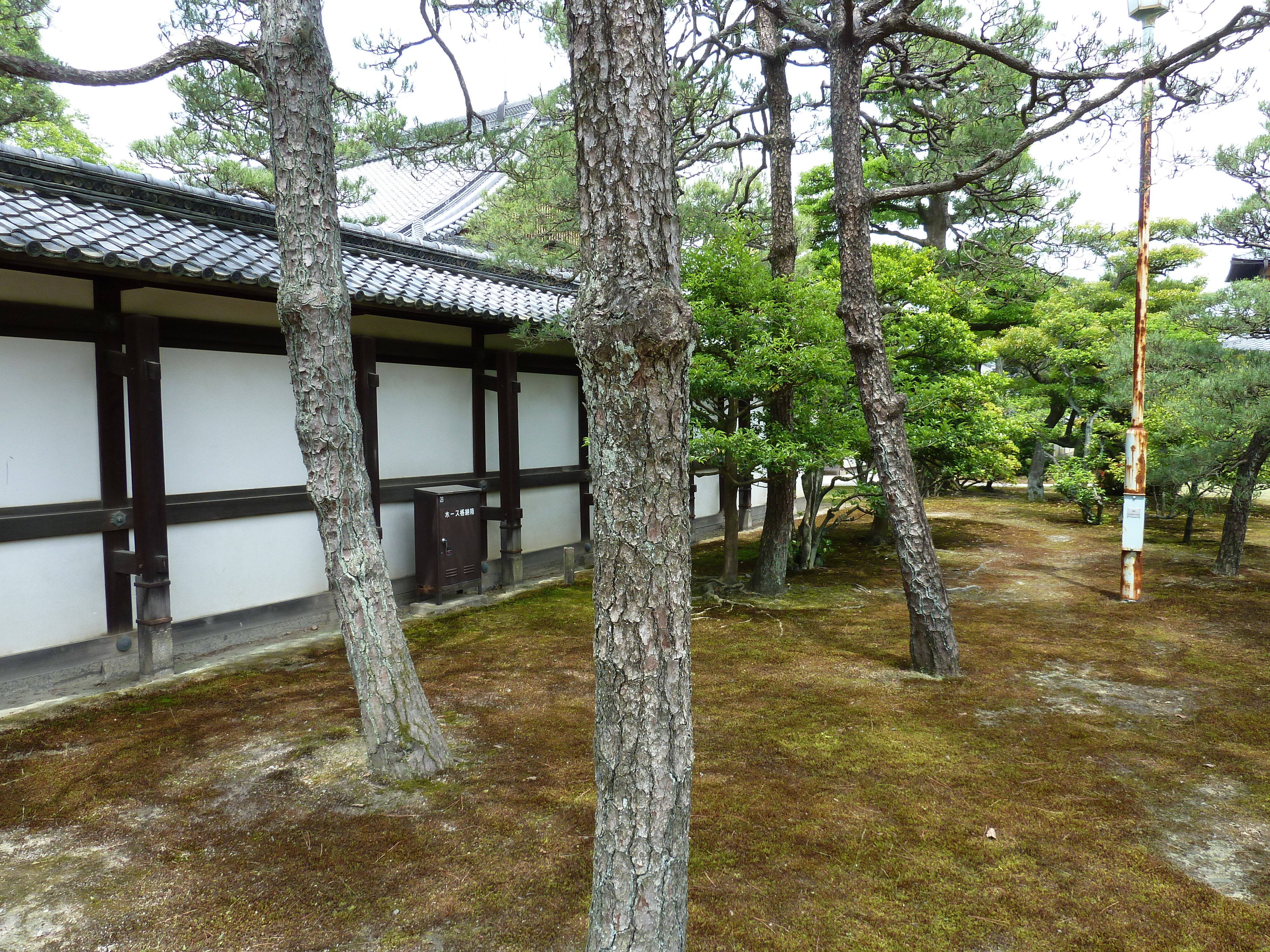 Picture Japan Kyoto Nijo Castle Honmaru Palace 2010-06 61 - Center Honmaru Palace