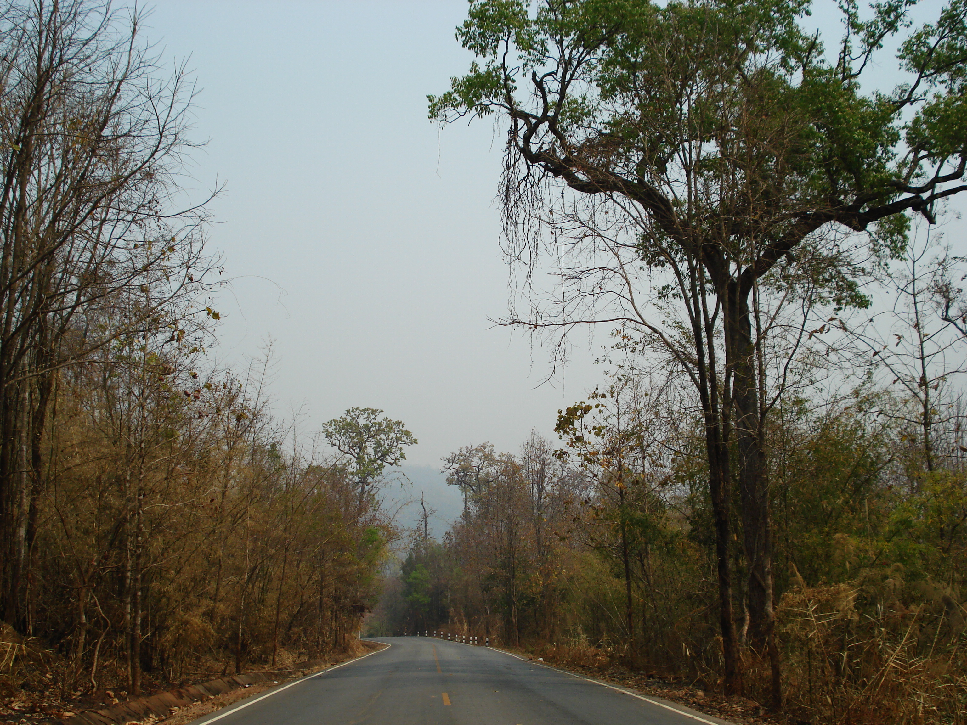 Picture Thailand Pang Mapha to Pai road 2007-02 35 - Journey Pang Mapha to Pai road