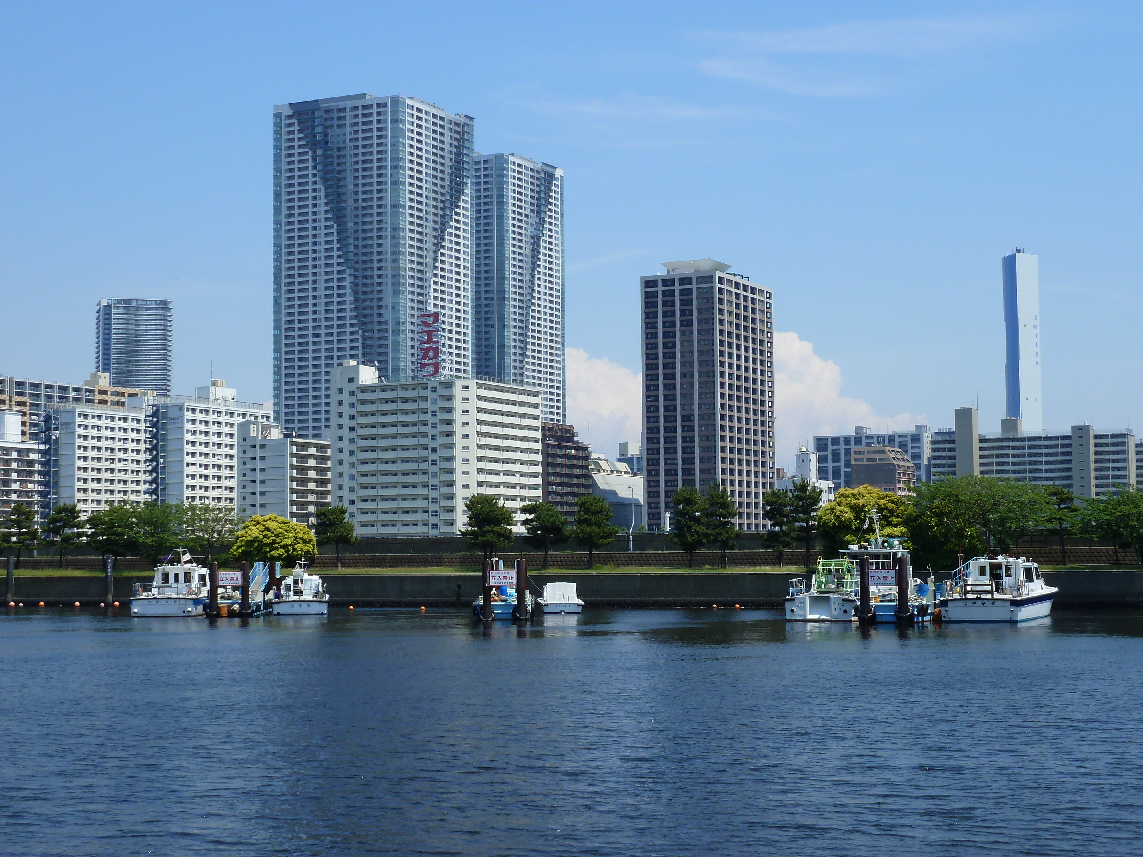 Picture Japan Tokyo 2010-06 78 - Around Tokyo