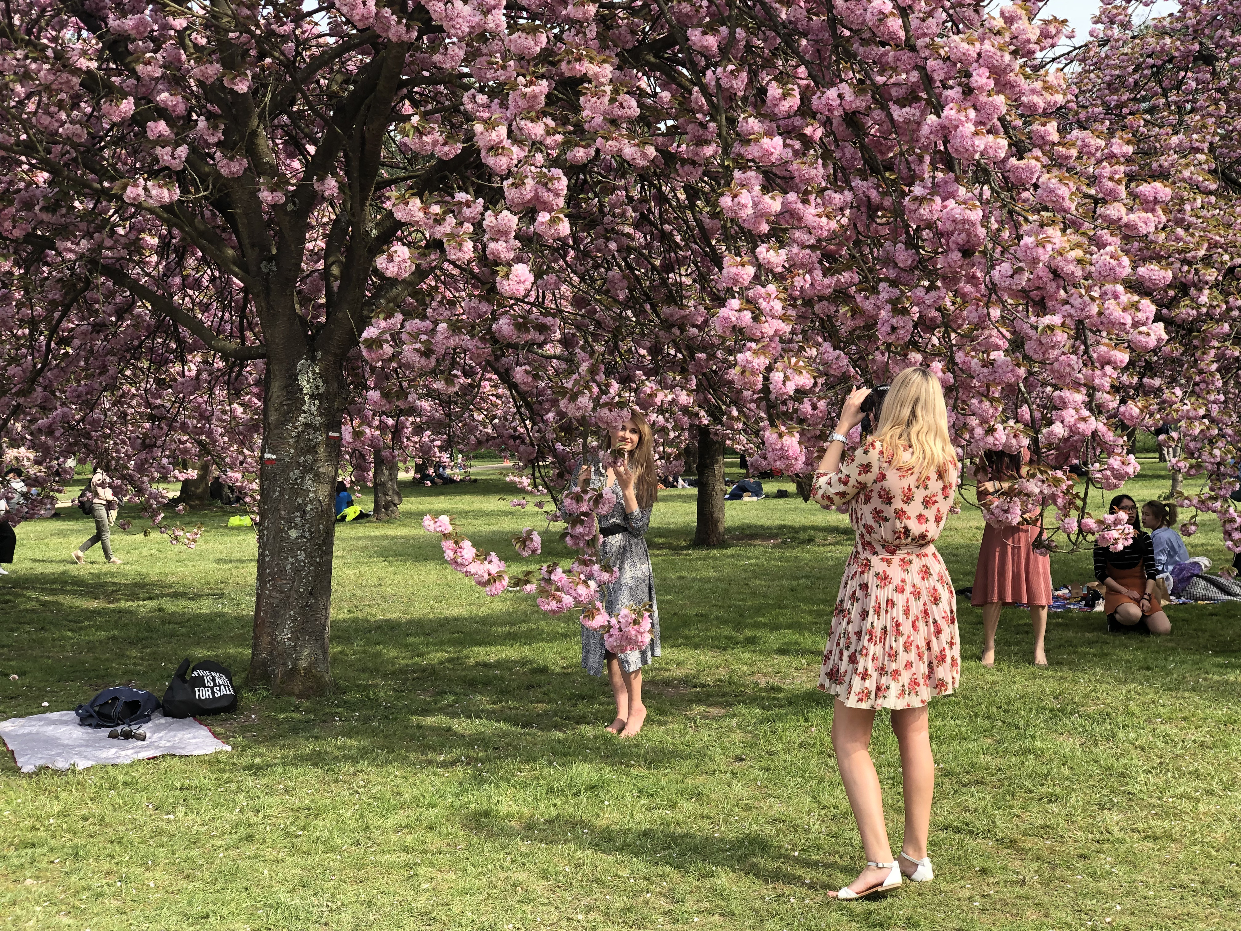 Picture France Parc de Sceaux 2019-04 5 - Journey Parc de Sceaux