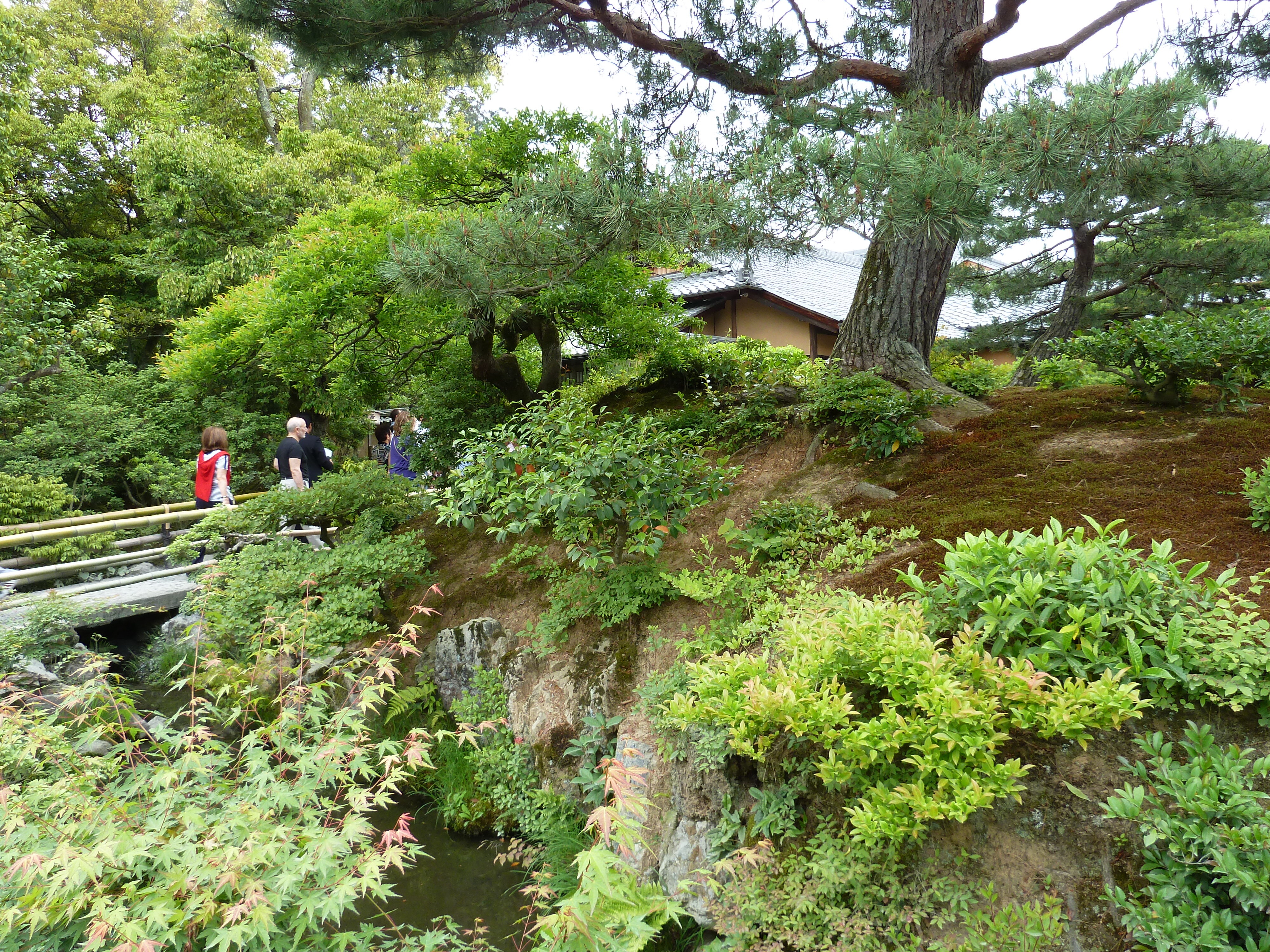 Picture Japan Kyoto Kinkakuji Temple(Golden Pavilion) 2010-06 64 - Discovery Kinkakuji Temple(Golden Pavilion)