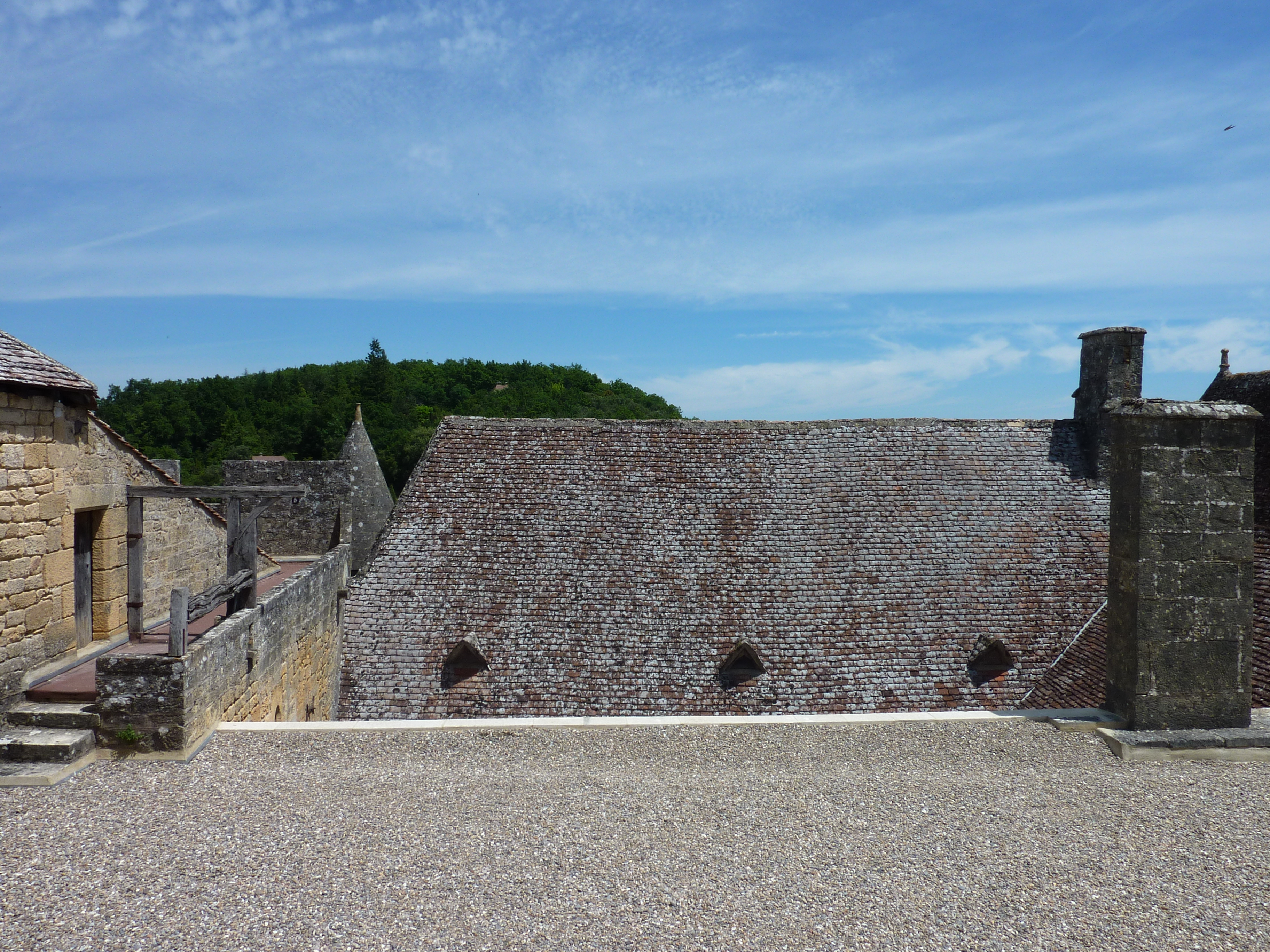 Picture France Beynac Castle 2009-07 20 - Recreation Beynac Castle