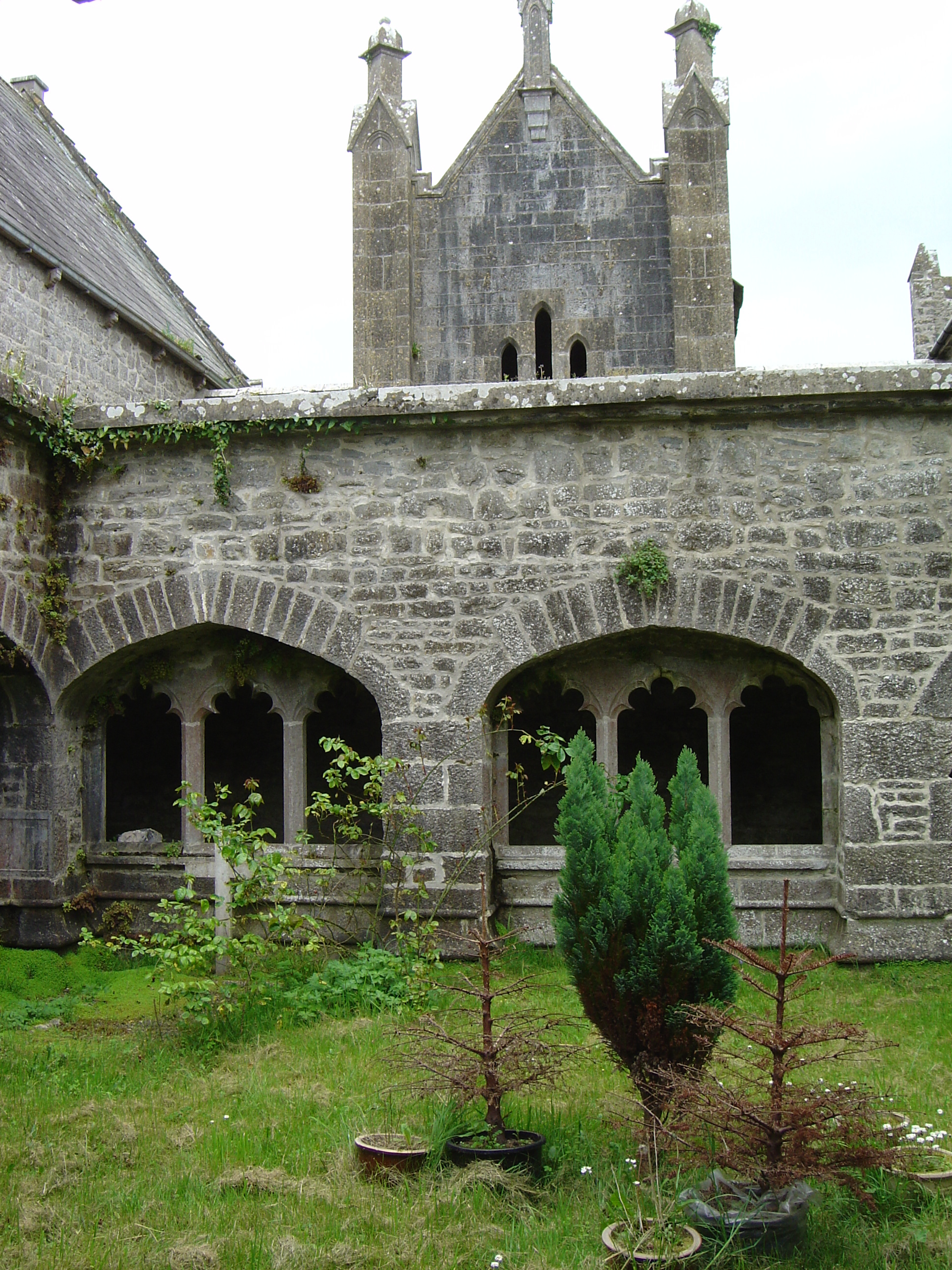 Picture Ireland Limerick County Adare 2004-05 12 - History Adare