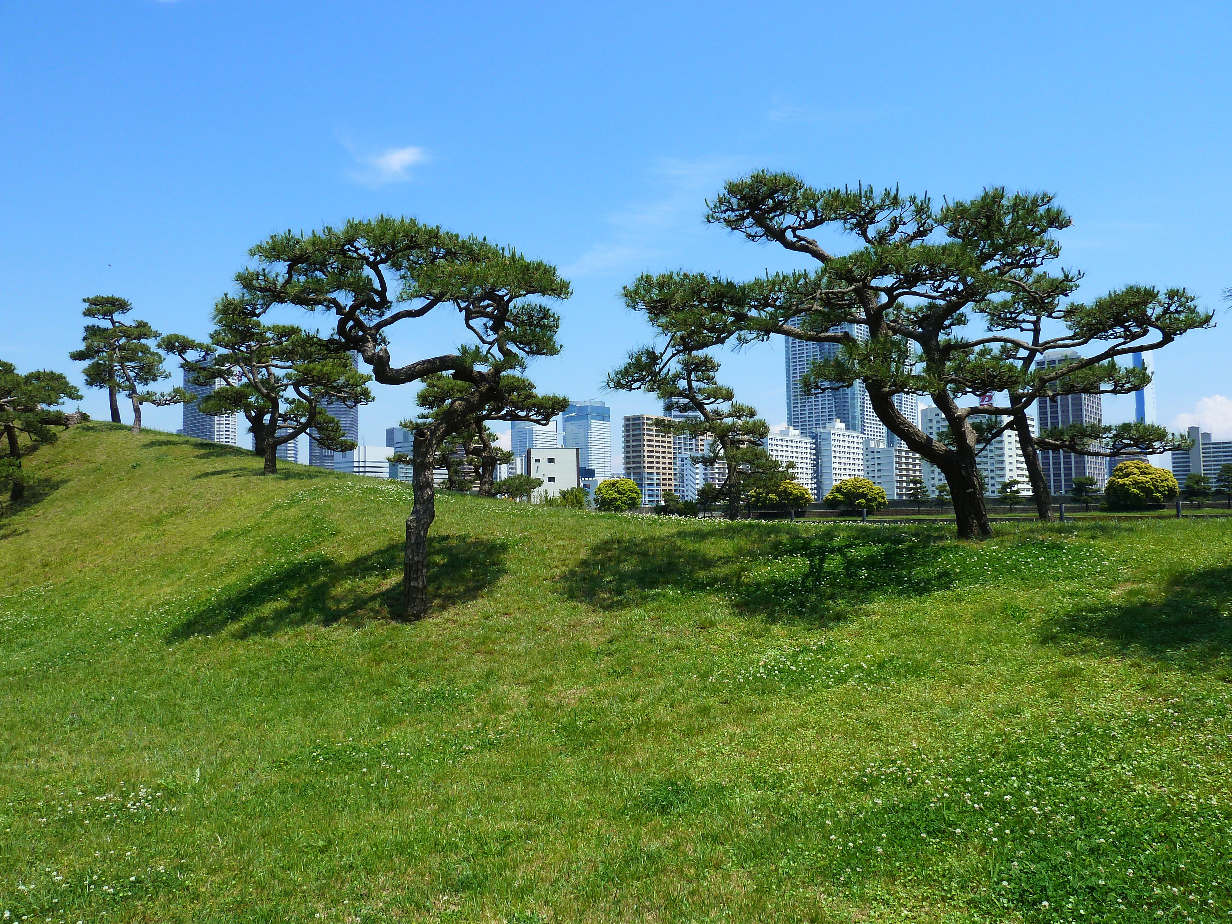 Picture Japan Tokyo Hama rikyu Gardens 2010-06 50 - Discovery Hama rikyu Gardens