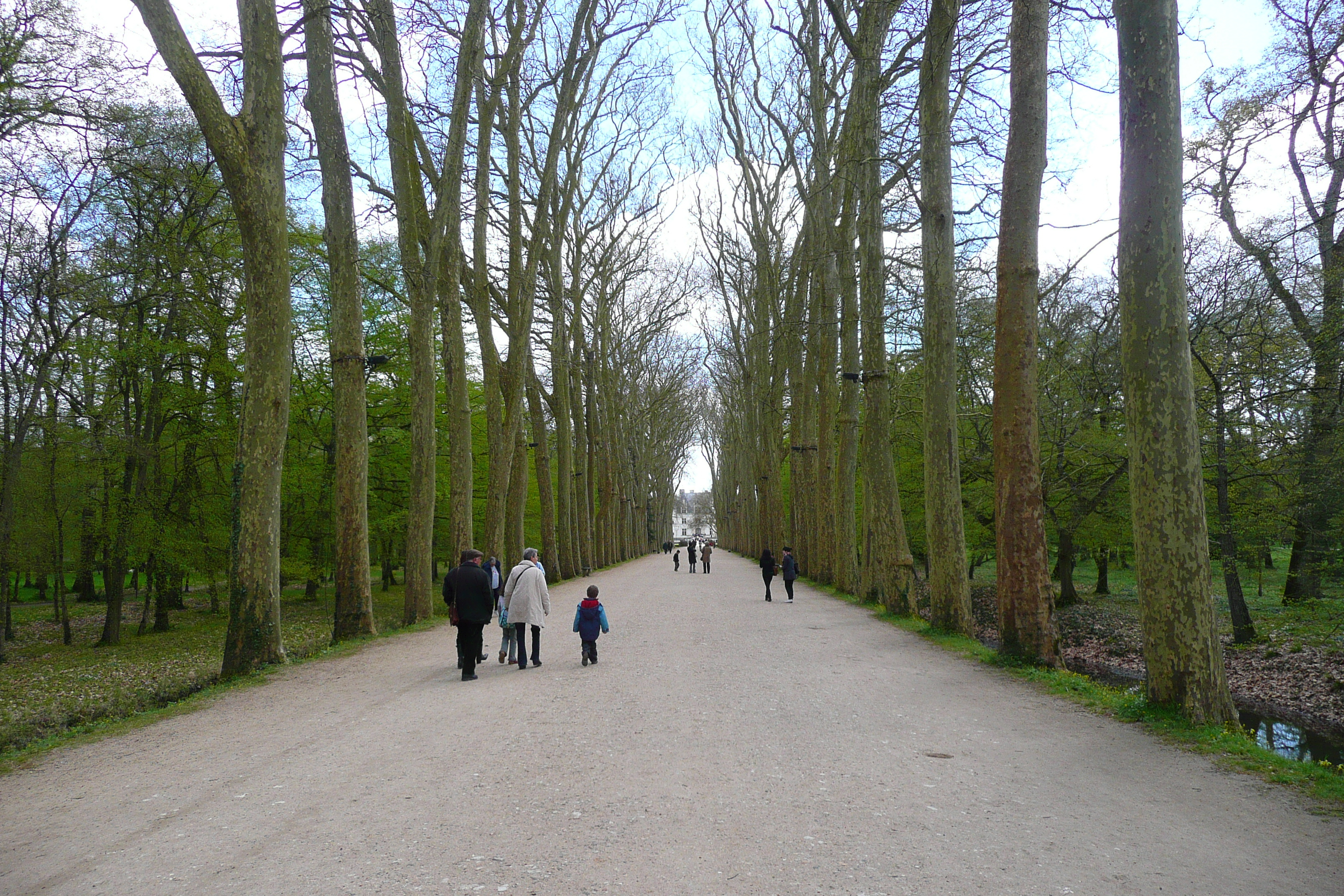 Picture France Chenonceau Castle Gardens of Chenonceau 2008-04 31 - Tours Gardens of Chenonceau