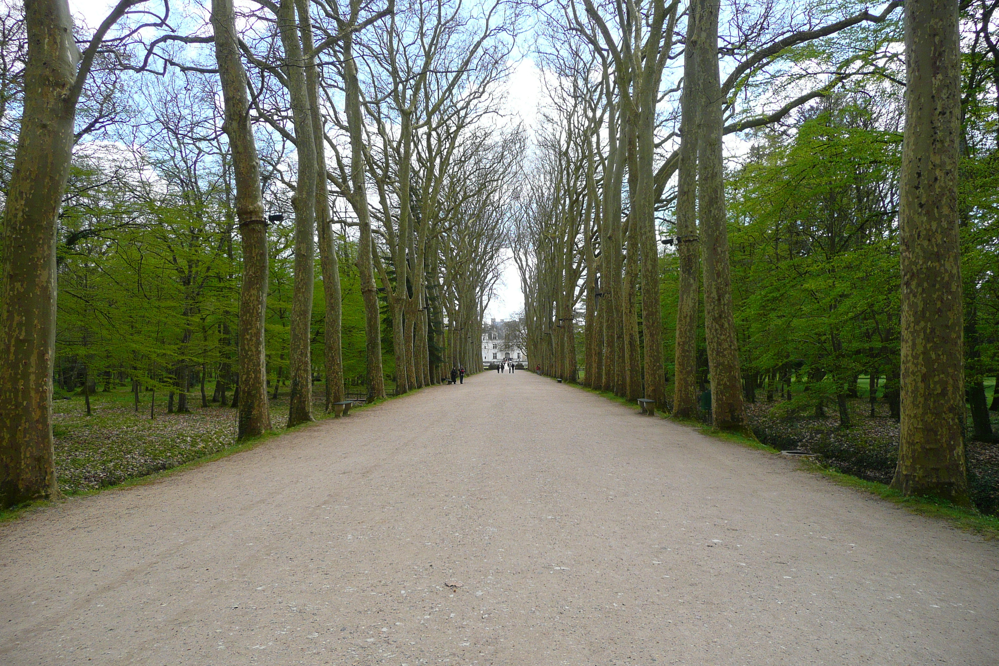 Picture France Chenonceau Castle Gardens of Chenonceau 2008-04 53 - Center Gardens of Chenonceau