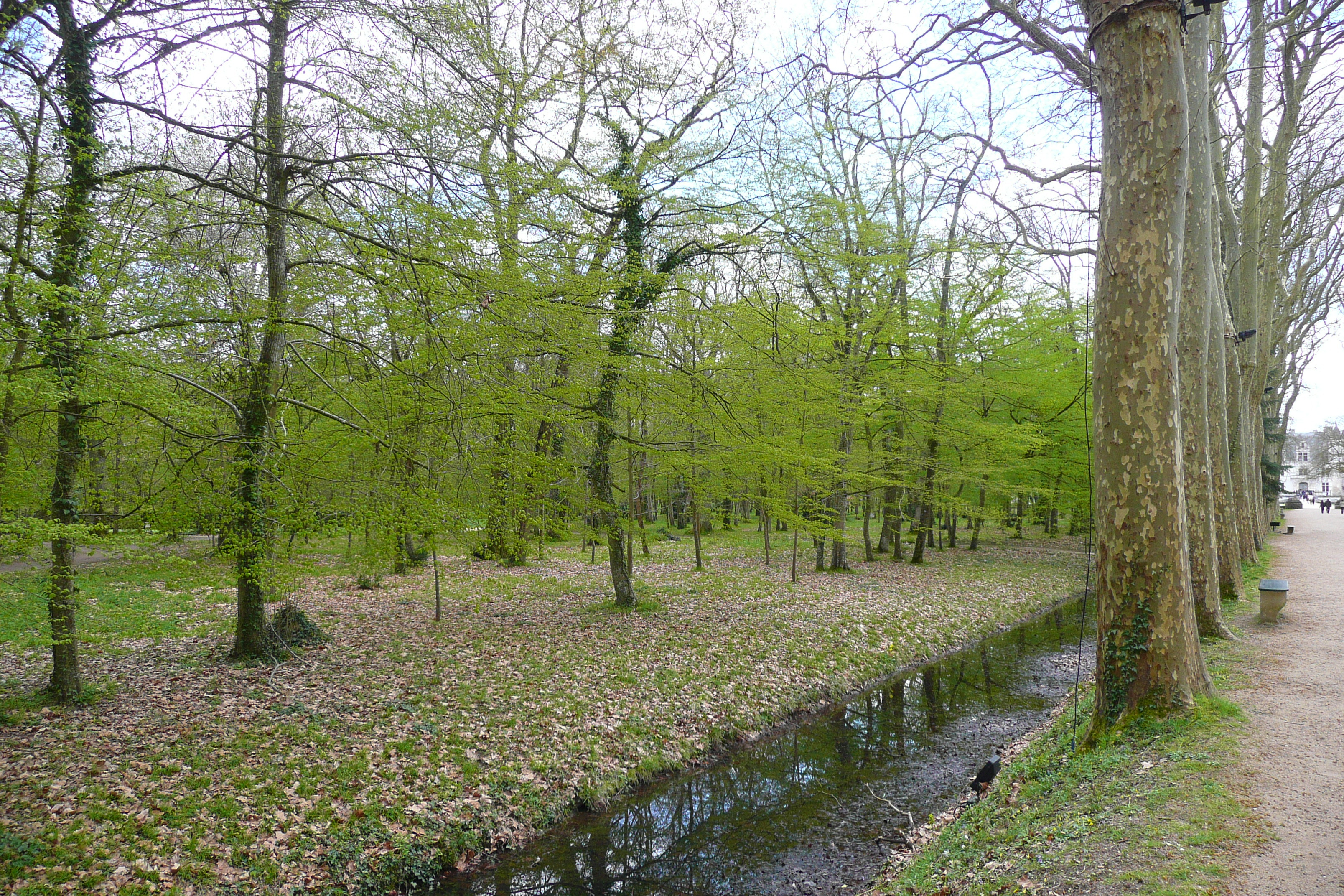 Picture France Chenonceau Castle Gardens of Chenonceau 2008-04 48 - Tour Gardens of Chenonceau