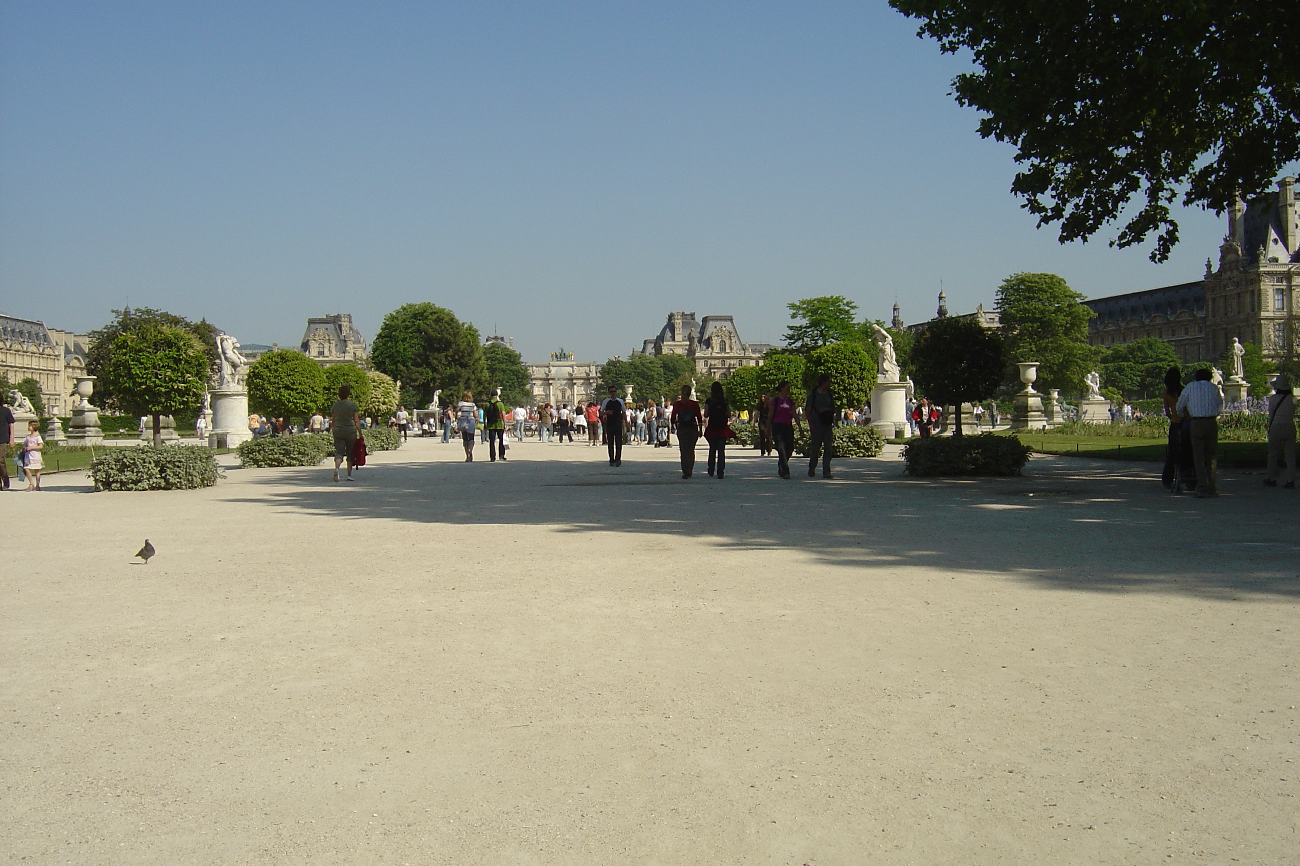 Picture France Paris Garden of Tuileries 2007-05 87 - Discovery Garden of Tuileries