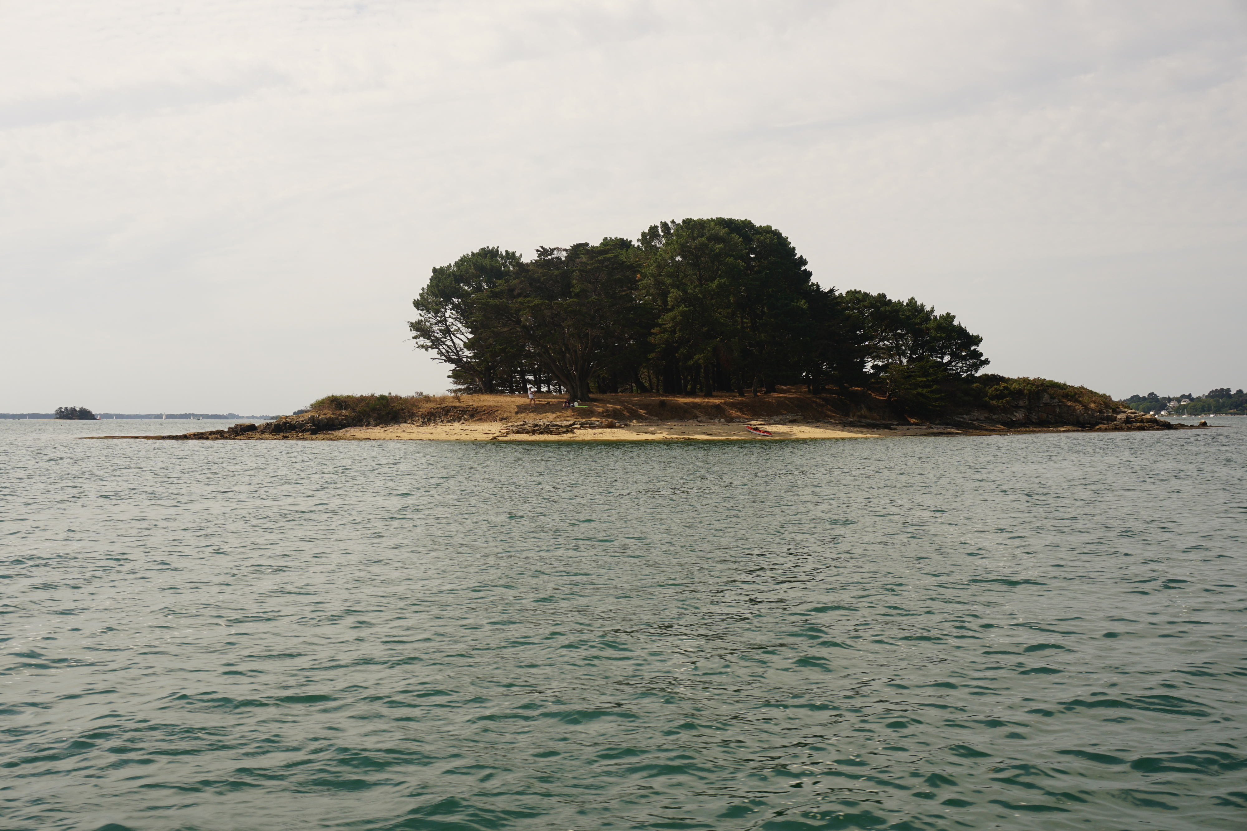 Picture France Golfe du Morbihan 2016-08 62 - Center Golfe du Morbihan