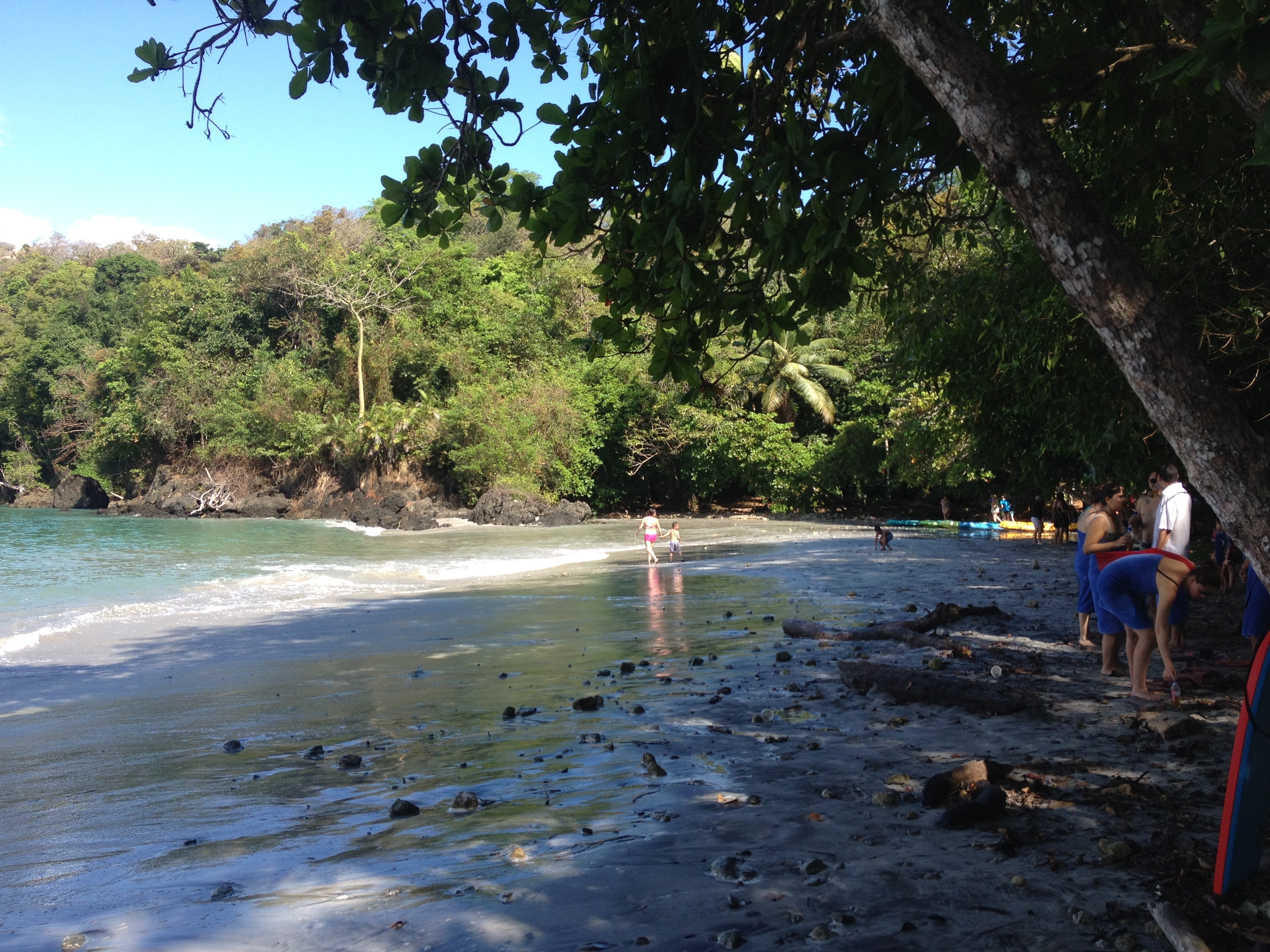 Picture Costa Rica Manuel Antonio 2015-03 203 - Journey Manuel Antonio