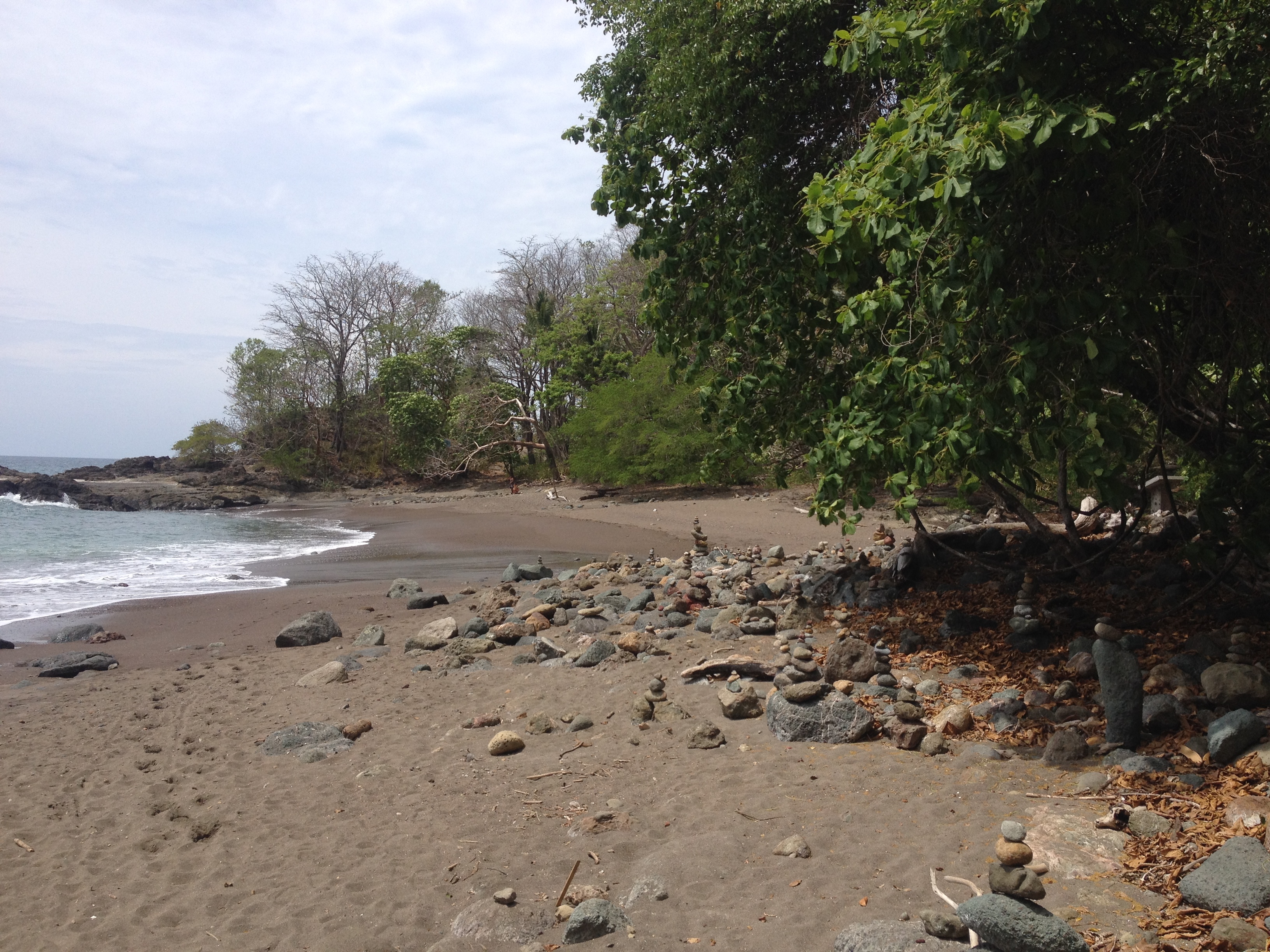 Picture Costa Rica Montezuma 2015-03 363 - Discovery Montezuma