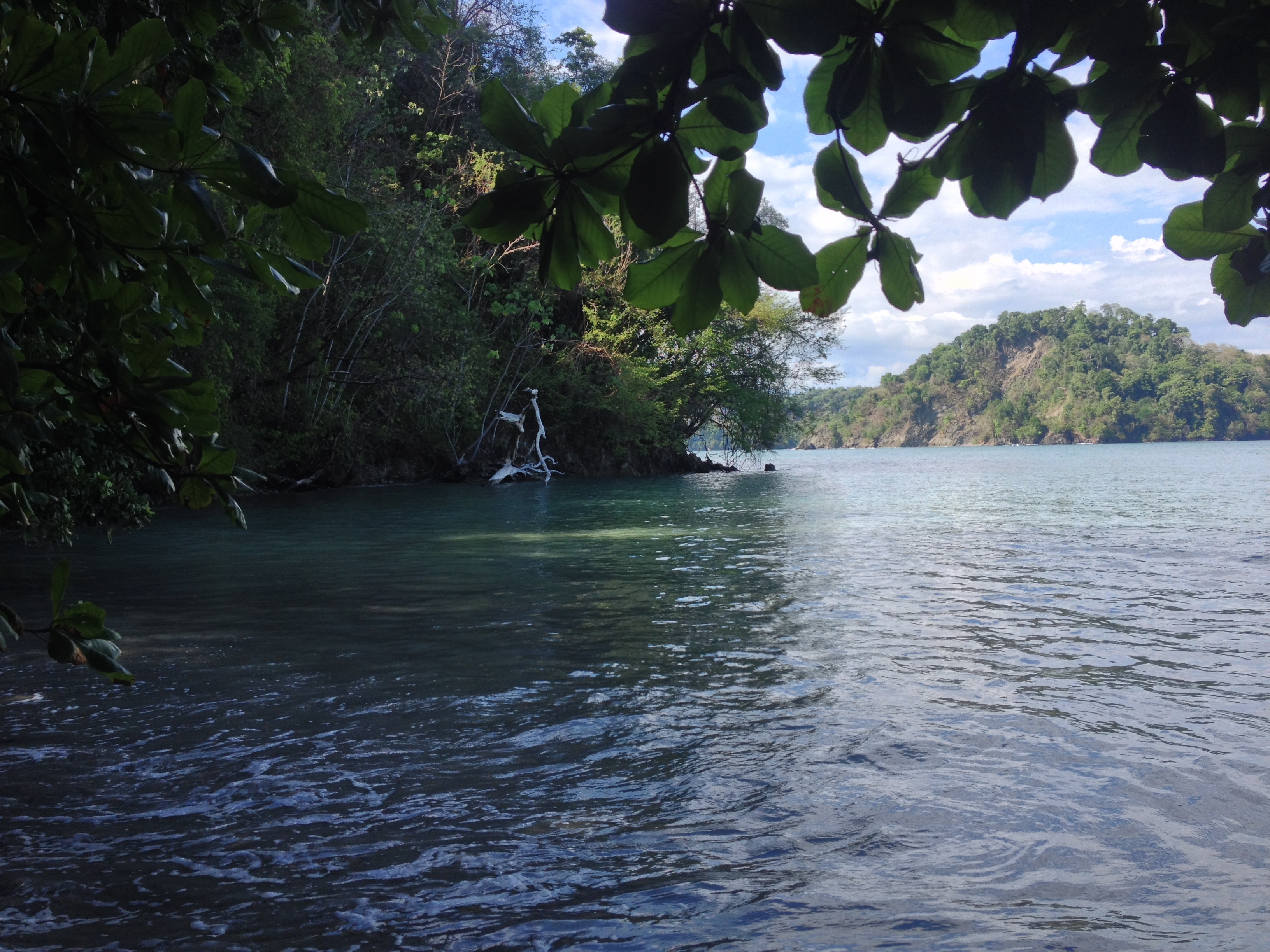 Picture Costa Rica Manuel Antonio 2015-03 381 - Center Manuel Antonio