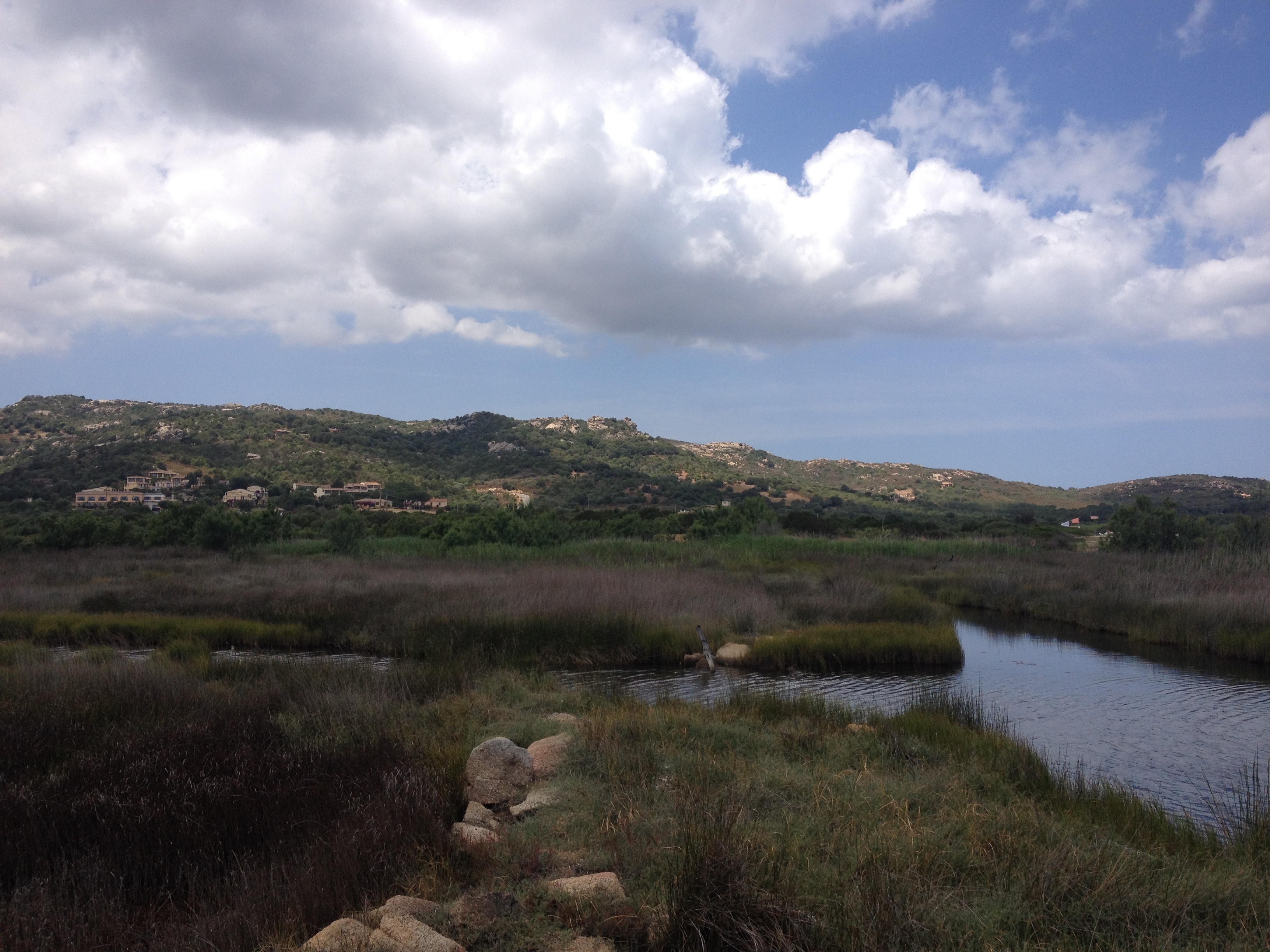 Picture Italy Sardinia Costa Smeralda 2015-06 57 - Around Costa Smeralda