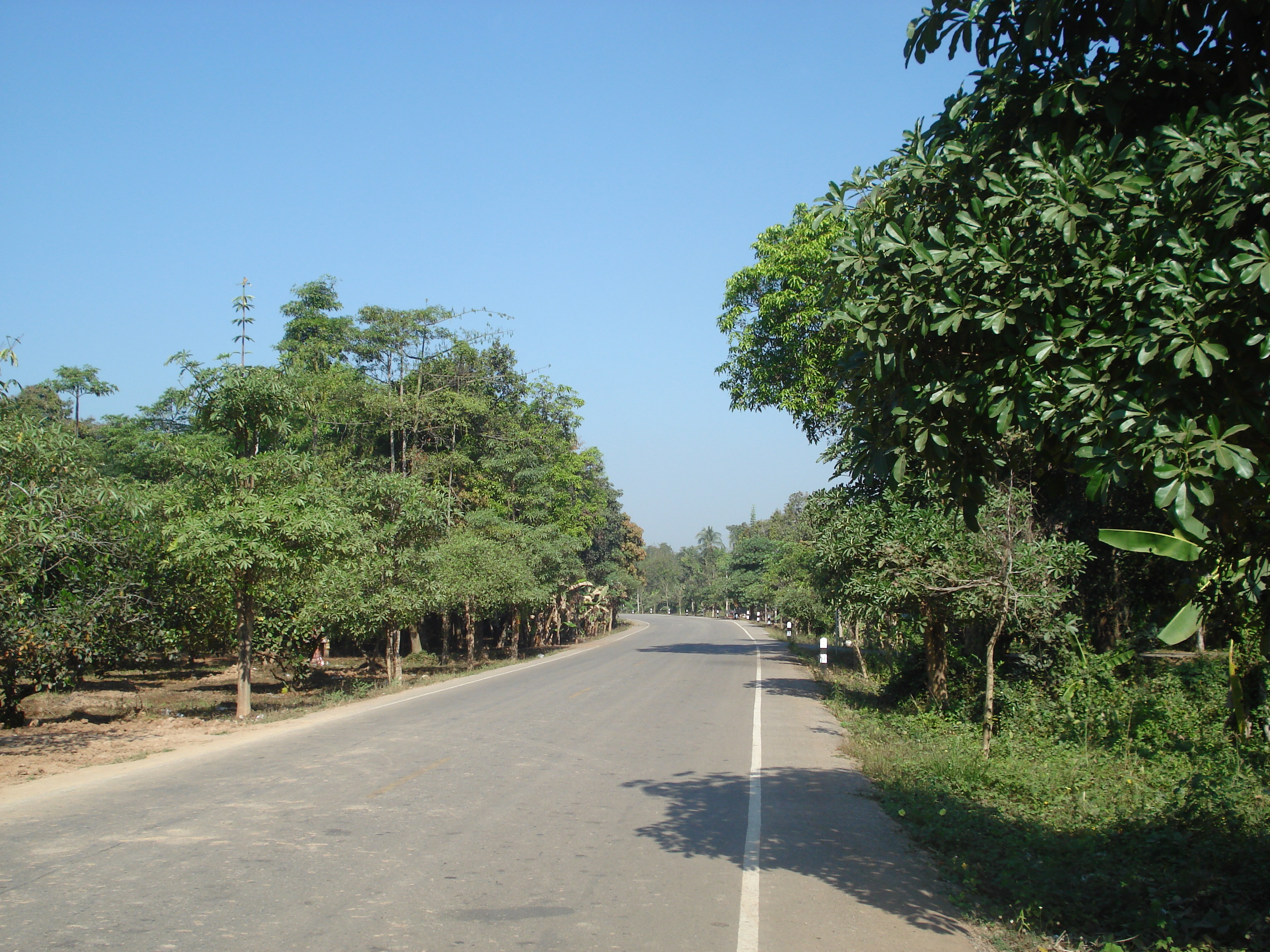 Picture Thailand Phitsanulok Jomthong Road 2008-01 25 - Discovery Jomthong Road