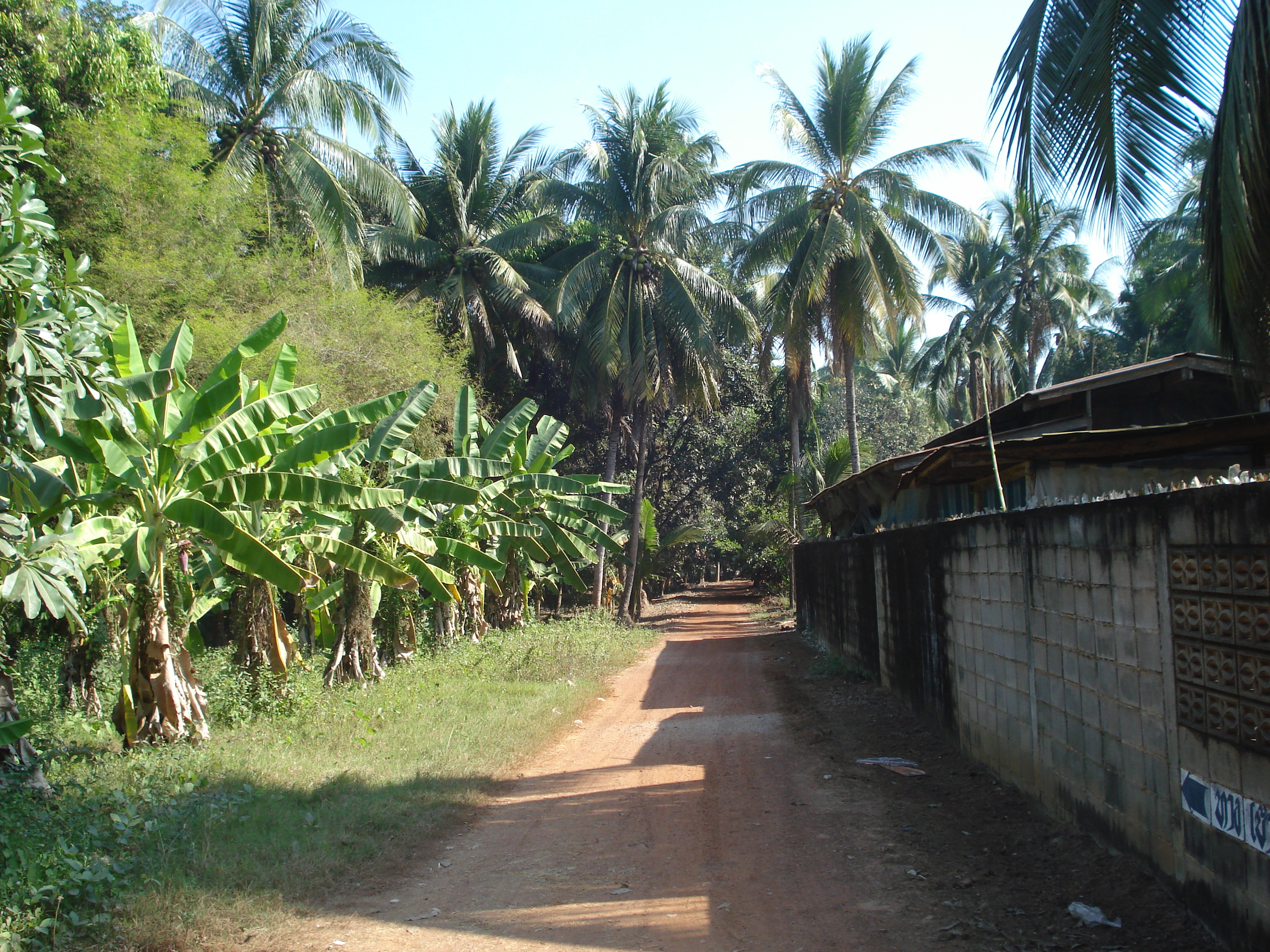 Picture Thailand Phitsanulok Jomthong Road 2008-01 29 - Tours Jomthong Road