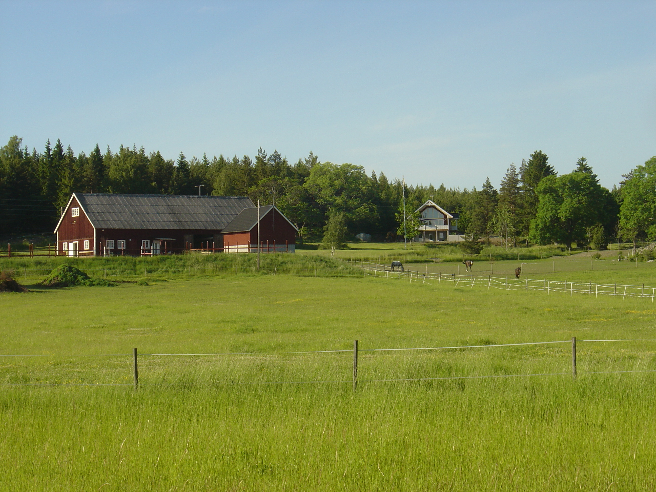 Picture Sweden Sigtuna to Uppsala road 2005-06 11 - Journey Sigtuna to Uppsala road