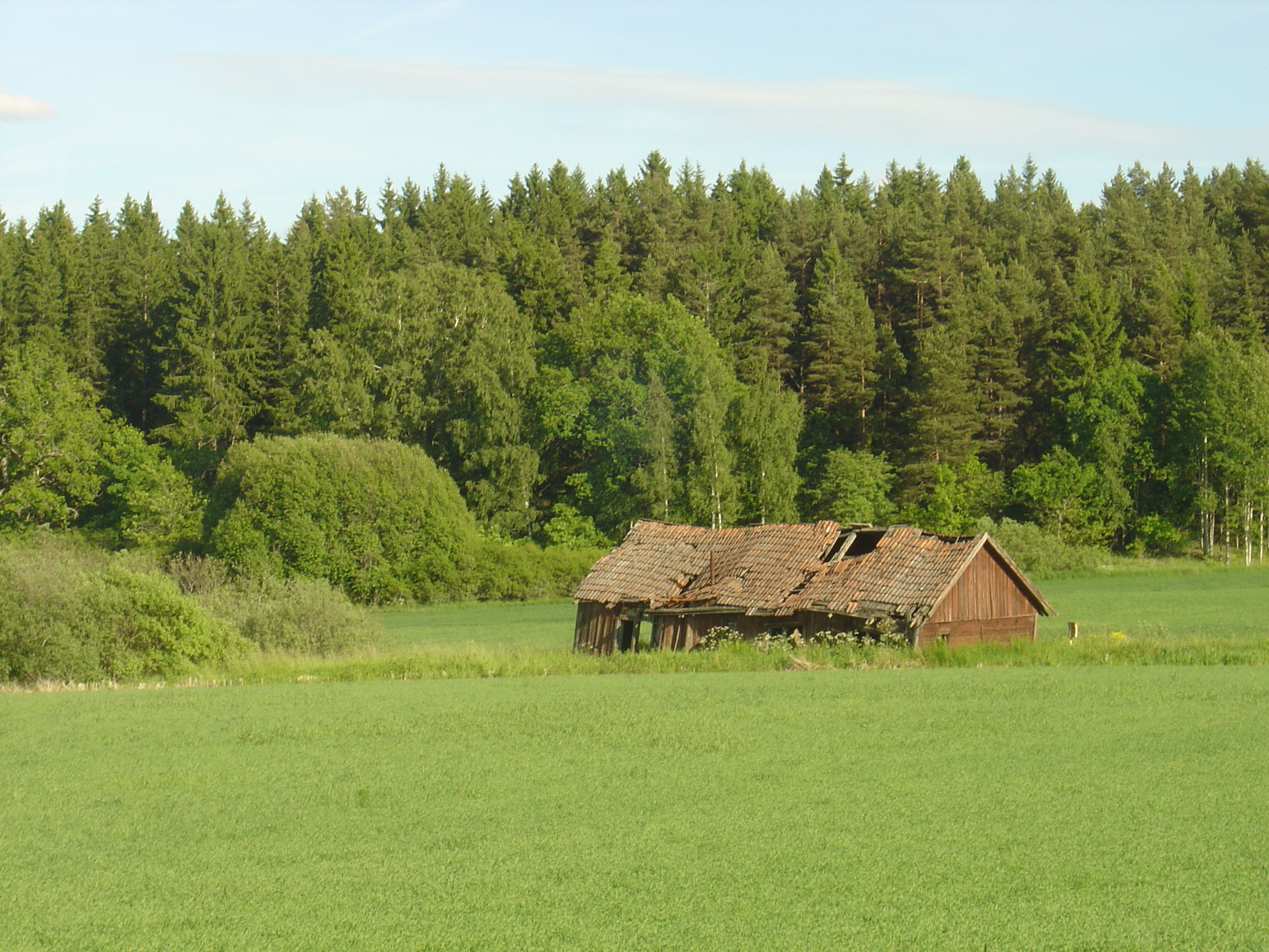 Picture Sweden Sigtuna to Uppsala road 2005-06 14 - Discovery Sigtuna to Uppsala road